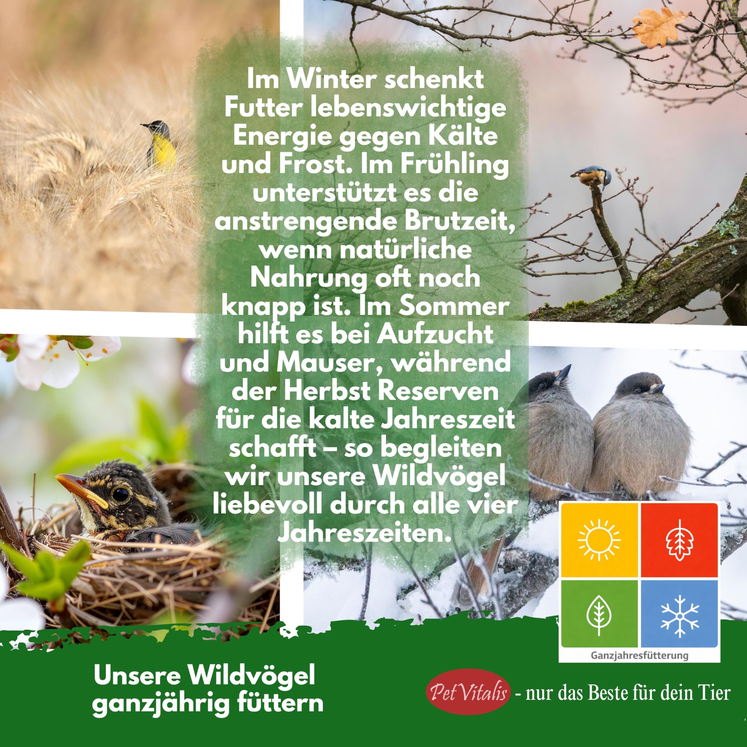 Mehlwürmer getrocknet 5 kg – Premium Einzelfuttermittel für Wildvögel, Ergänzung zum Vogelfutter – Proteinreicher Snack für Fische, Reptilien & Nager – Ganzjahresfutter für Igel & Eichhörnchen