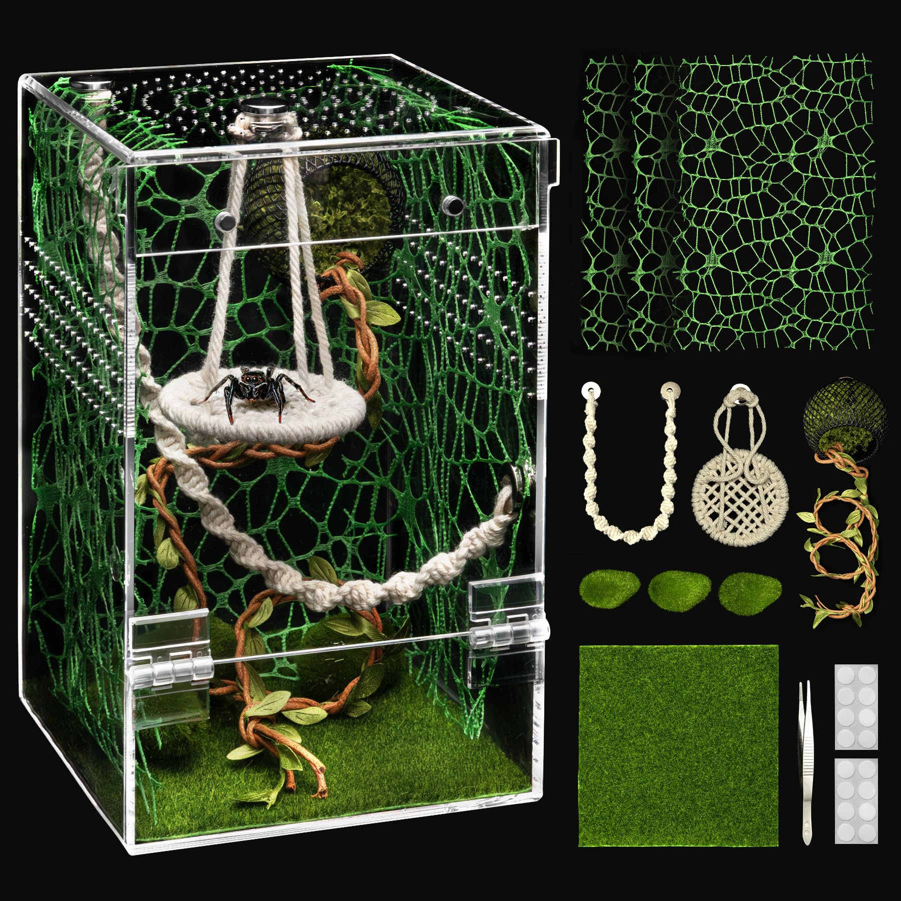 Amazon.com: AZV Jumping Spider Enclosure Kit,Pre-Assembled 5 x 5 x