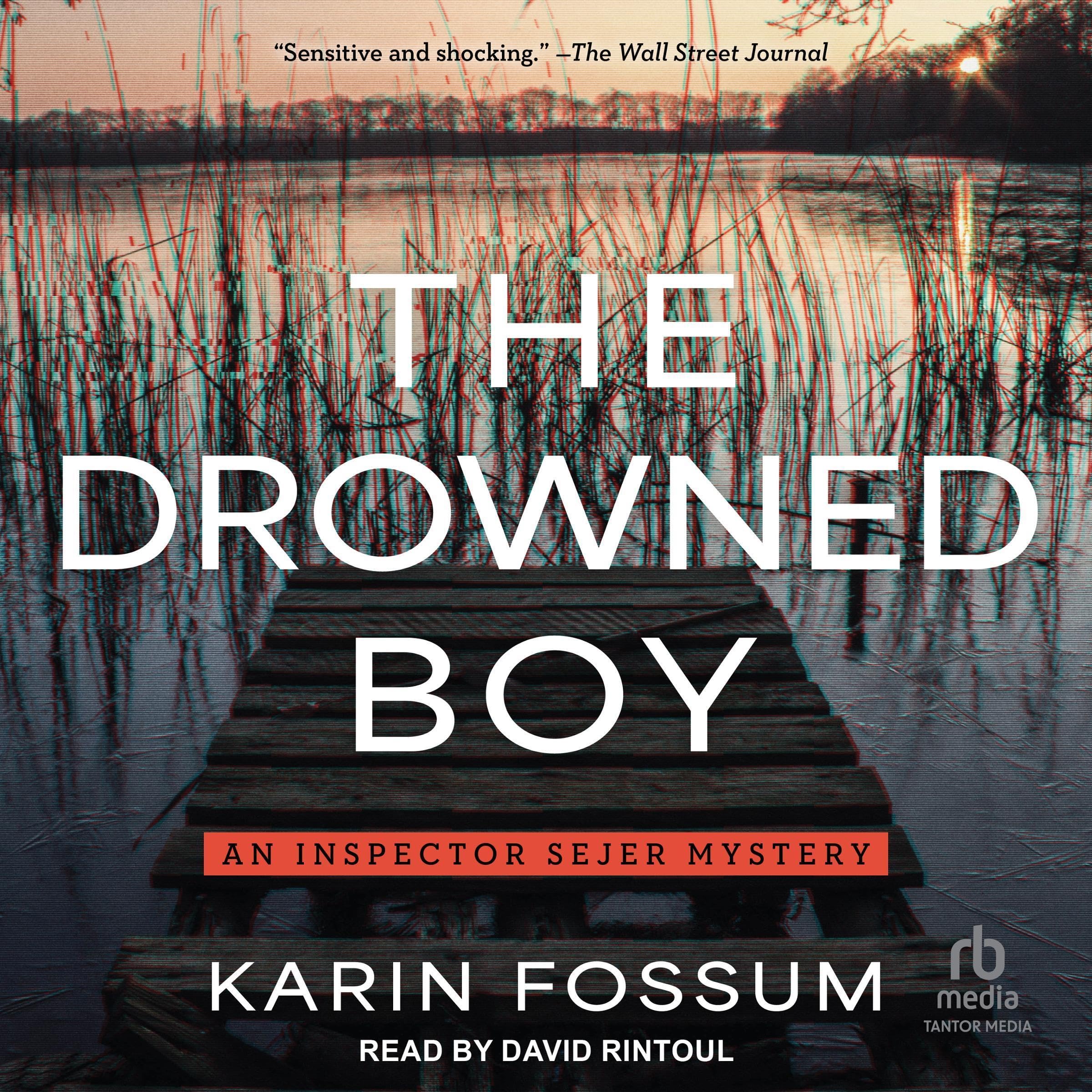 Cover art for The Drowned Boy