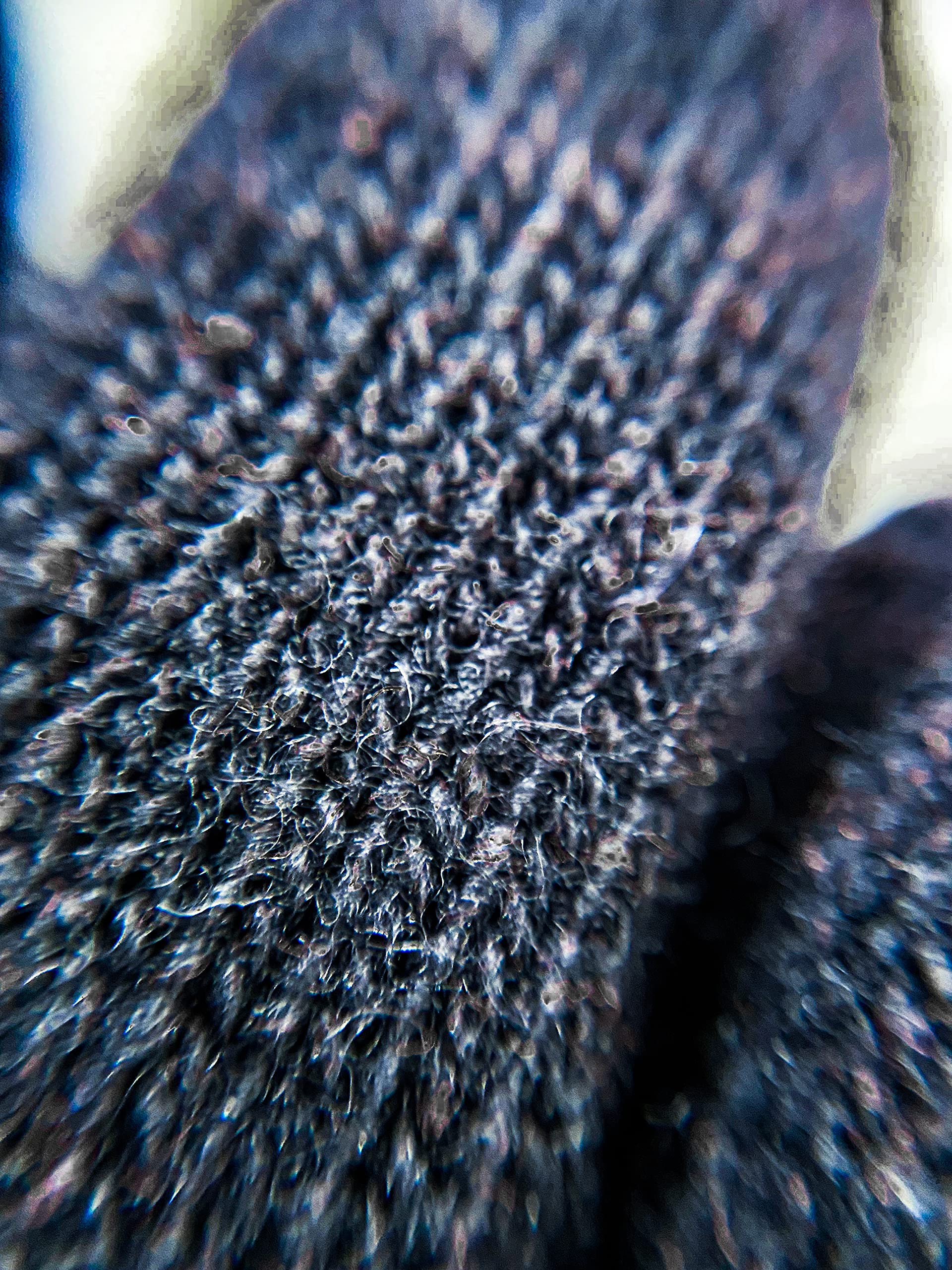 Gants en laine doublés en cachemire avec bords en cuir - Femme - Artisanat - Made in Italy, Noir , Taille unique