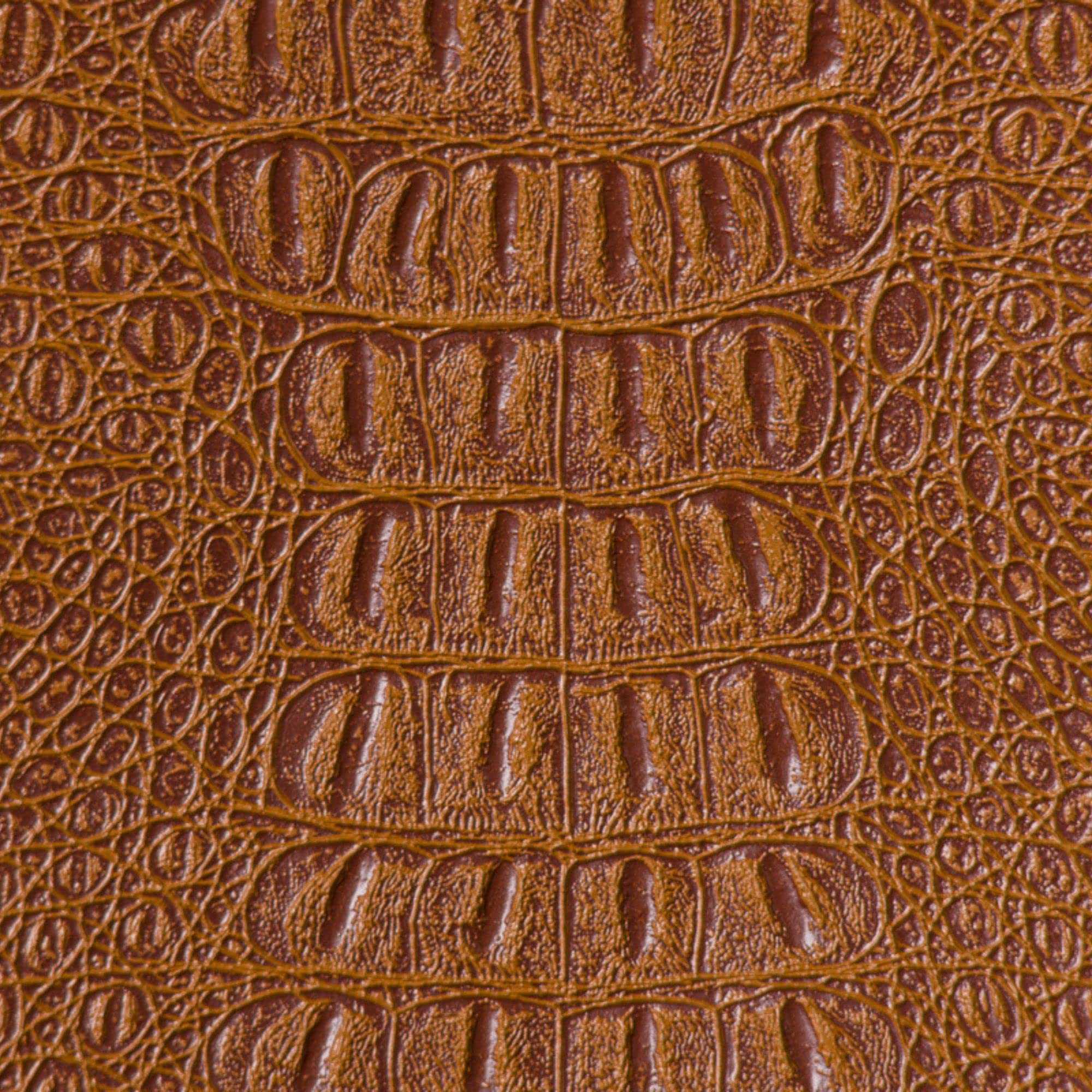 Cuir Gator Lizard Grain main image 1