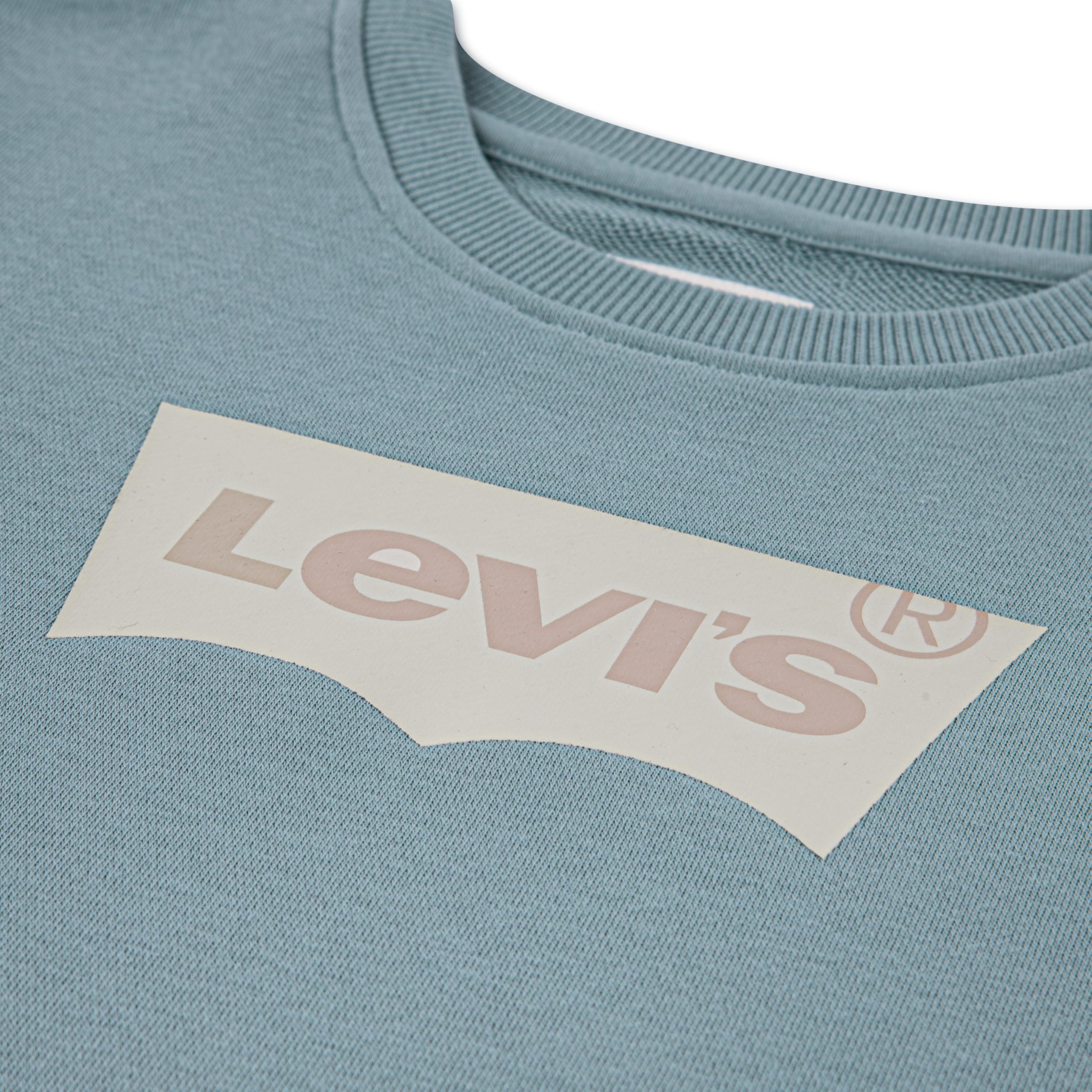 Levi's E9078 Felpa Batwing in French Terry Bambini e Ragazzi (Pacco da 1)