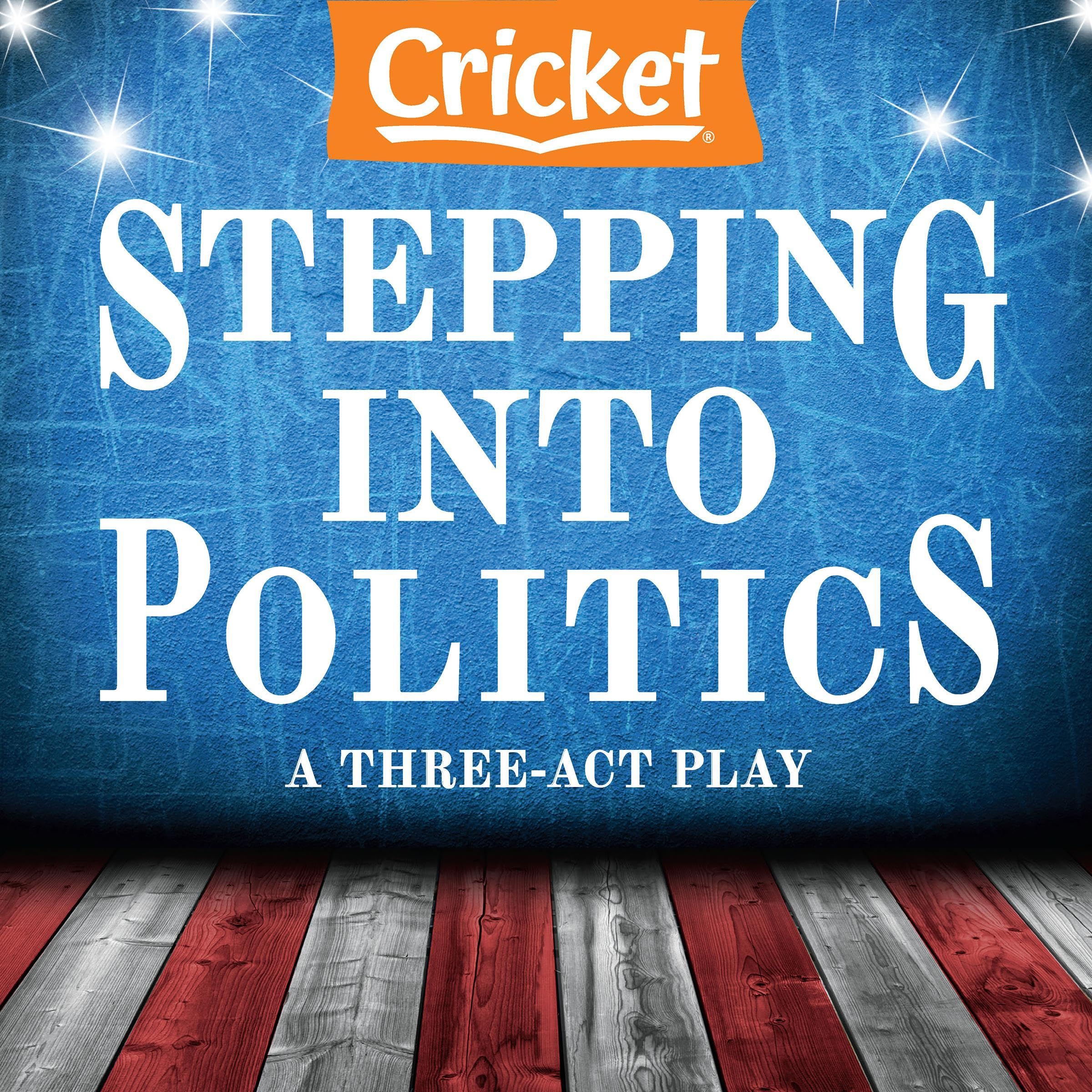 Stepping into Politics