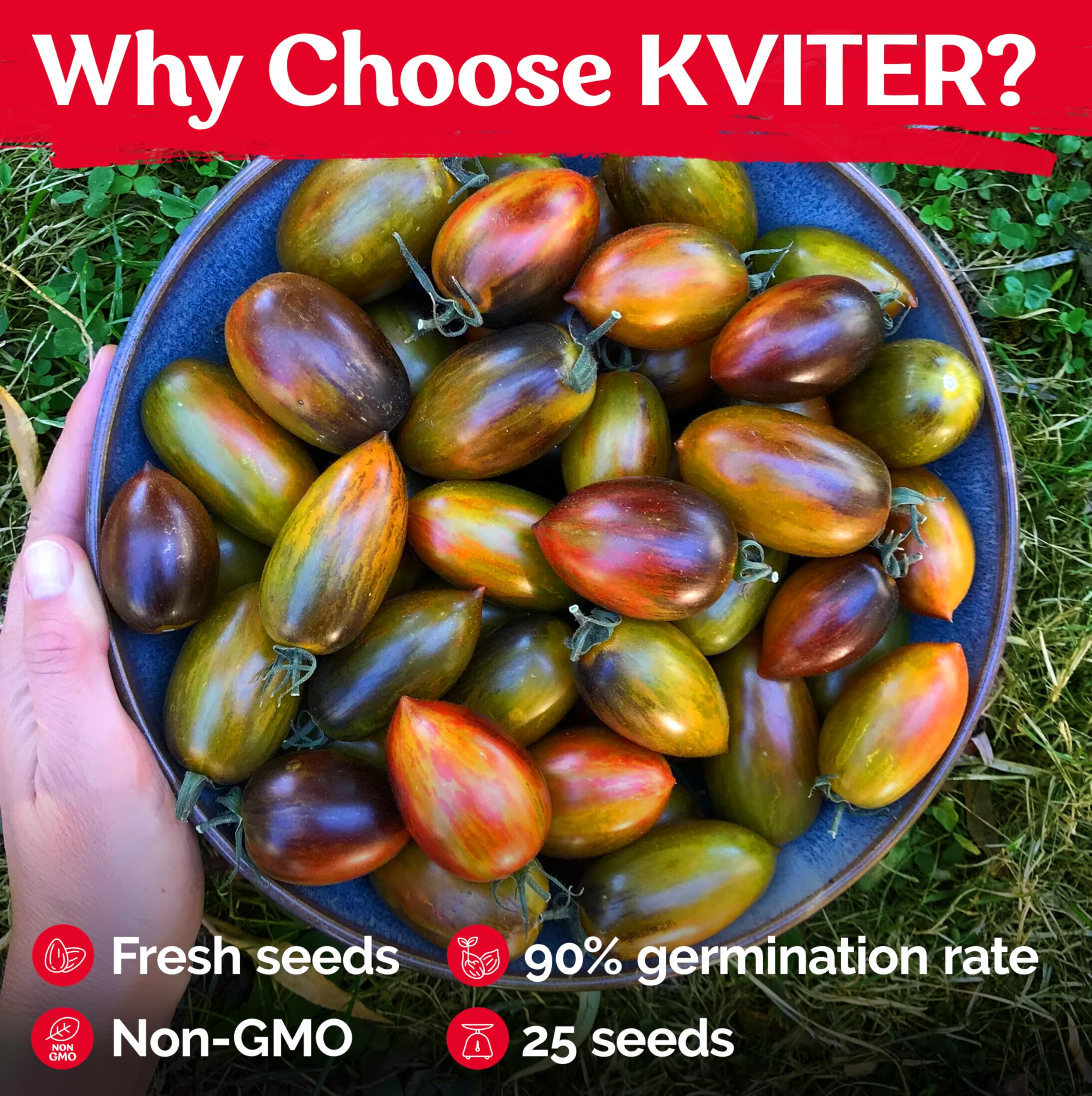 Amazon.com : KVITER 25 Brad's Atomic Grape Tomato Seeds