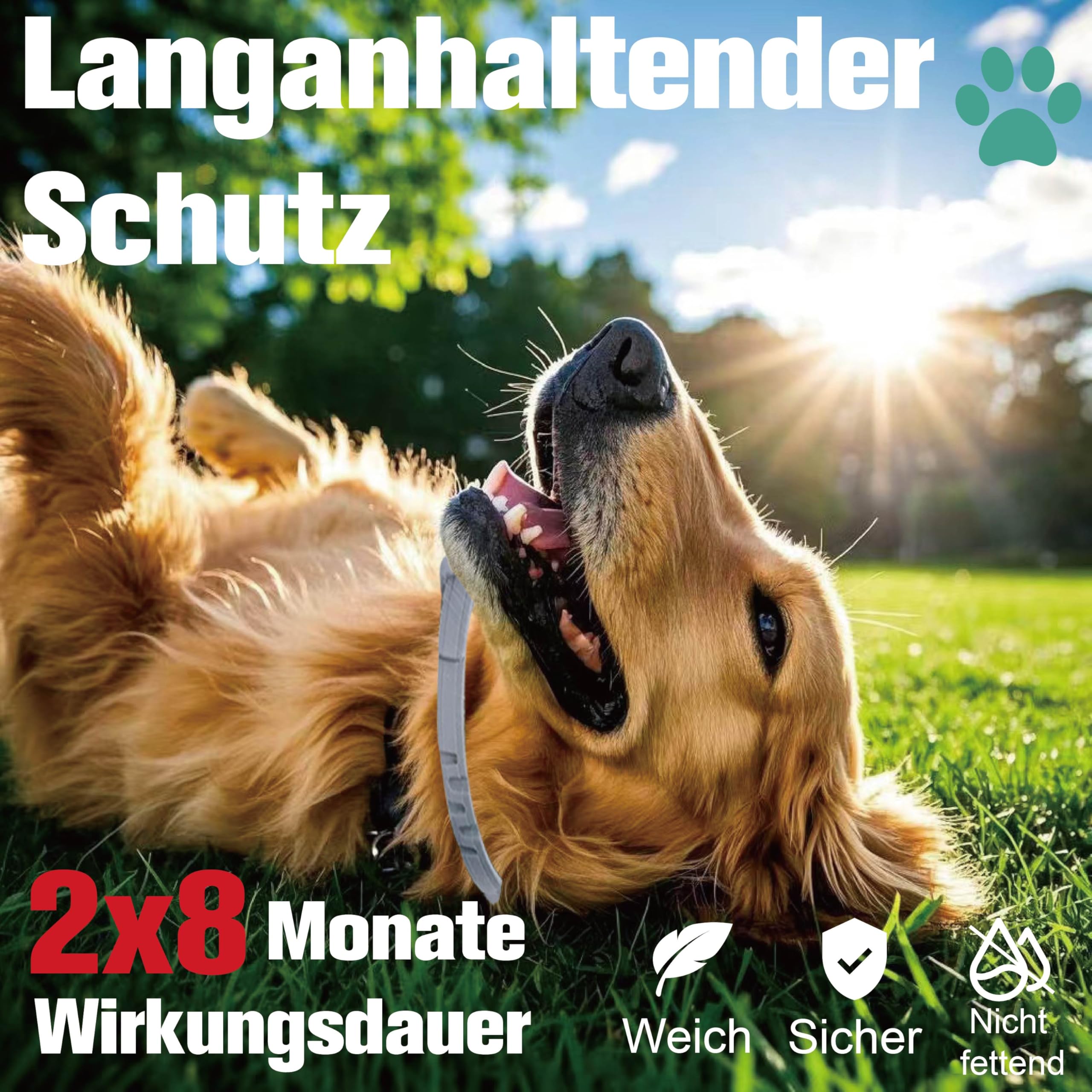 Zeckenhalsband für Hunde 2 Stück, Flohhalsband Hunde, Floh und Zeckenhalsband Hund, Zeckenschutz Flohschutz Halsband für Hund, 16 Monate Zeckenschutz