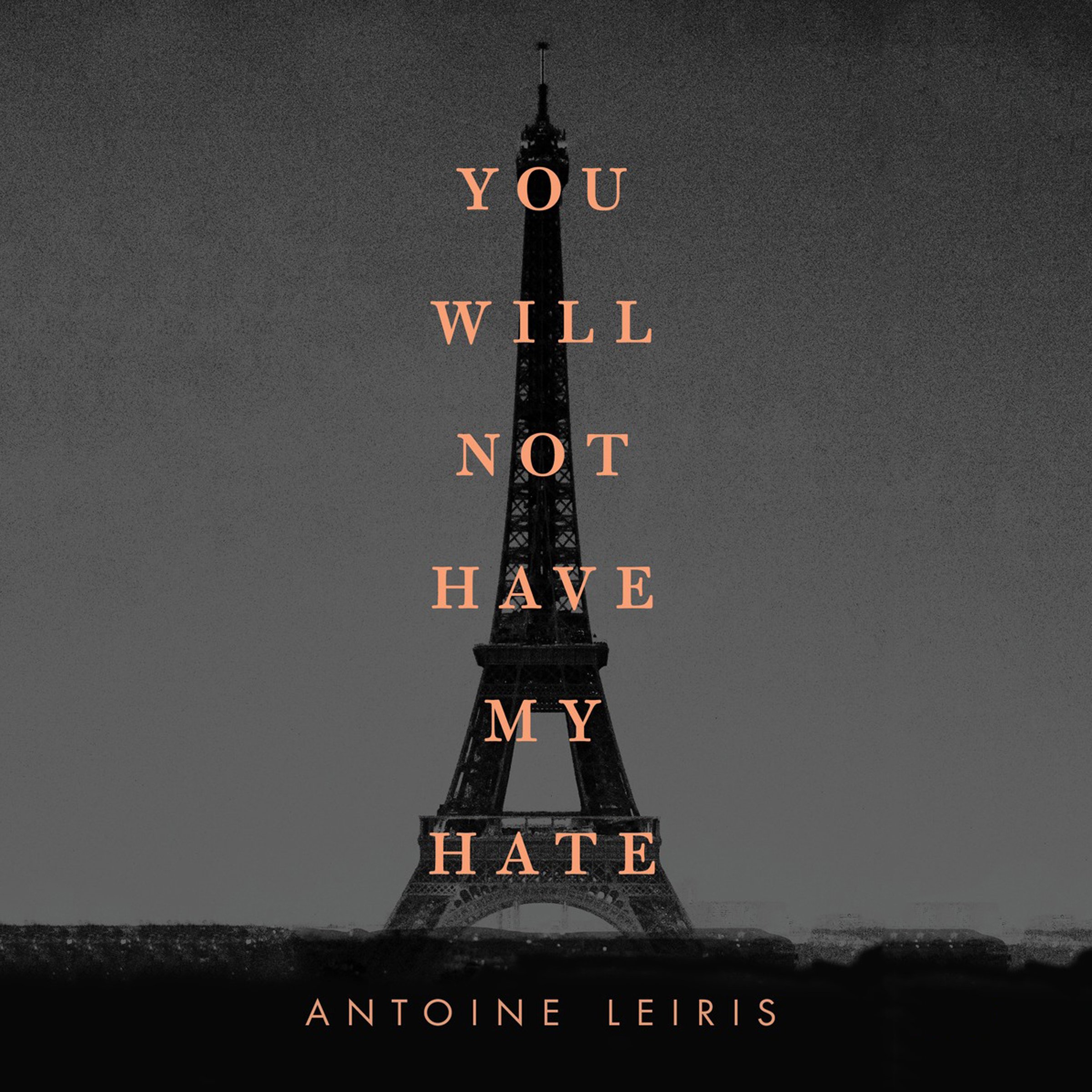 Cover art for You Will Not Have My Hate