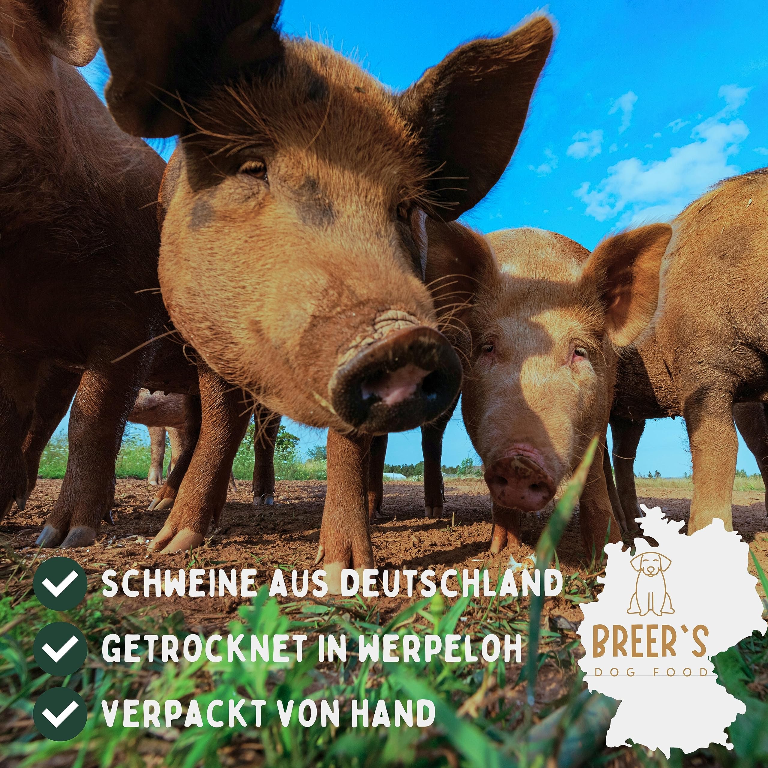 BREERs Getrocknete Schweineohren für Hunde 2 Kg Kauartikel aus Schwein, Hundeleckerli getreidefrei, Kausnack, Leckerli Hund, eigene deutsche Herstellung