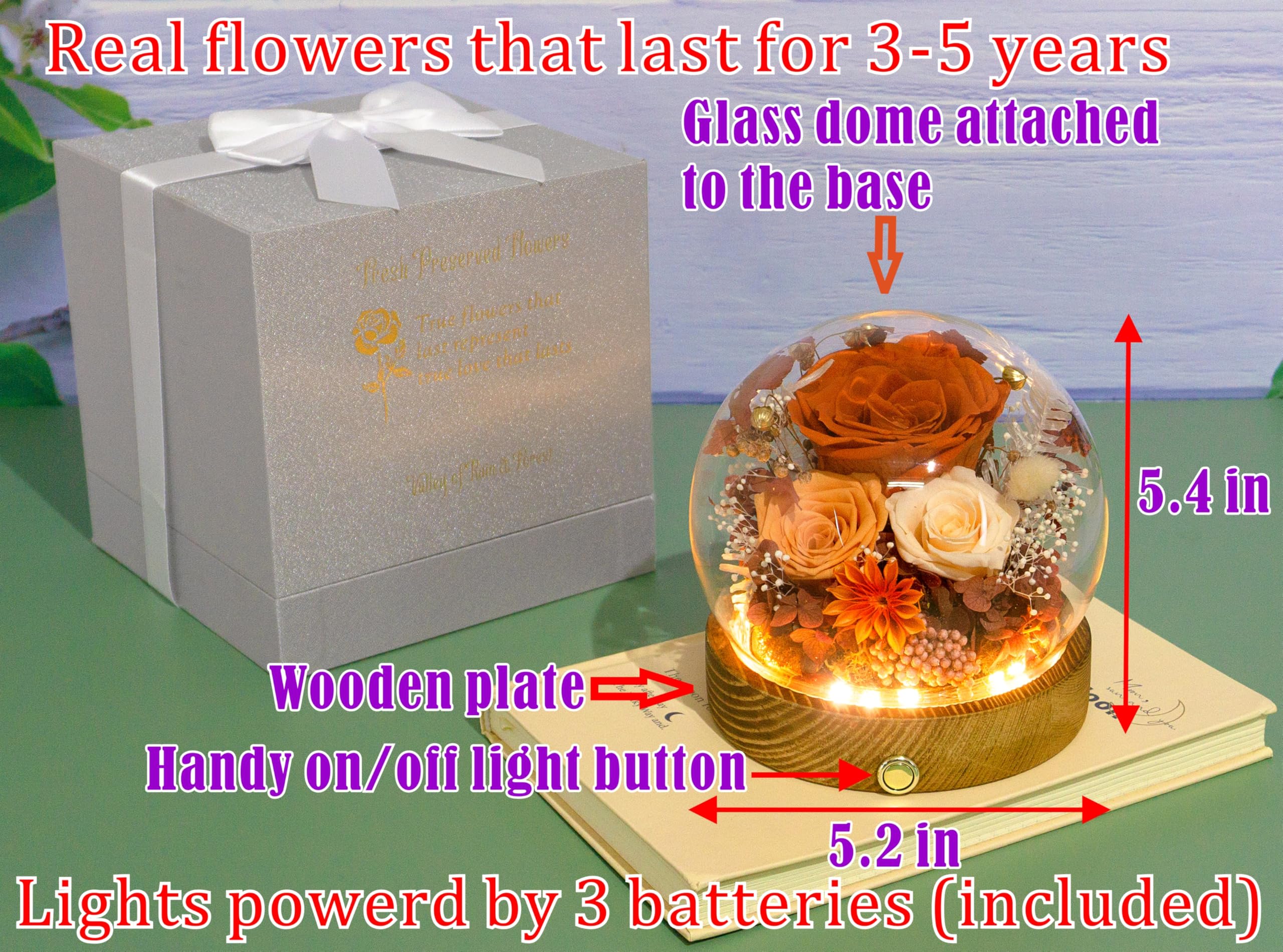 Valley of Rain & Forest Long-Lasting Real Flowers, Unique Floral Gift for You to Send Love for All Occasions, for Indoor Decoration (Orange & Brown Rose Arrangement Fall-themed) - 3