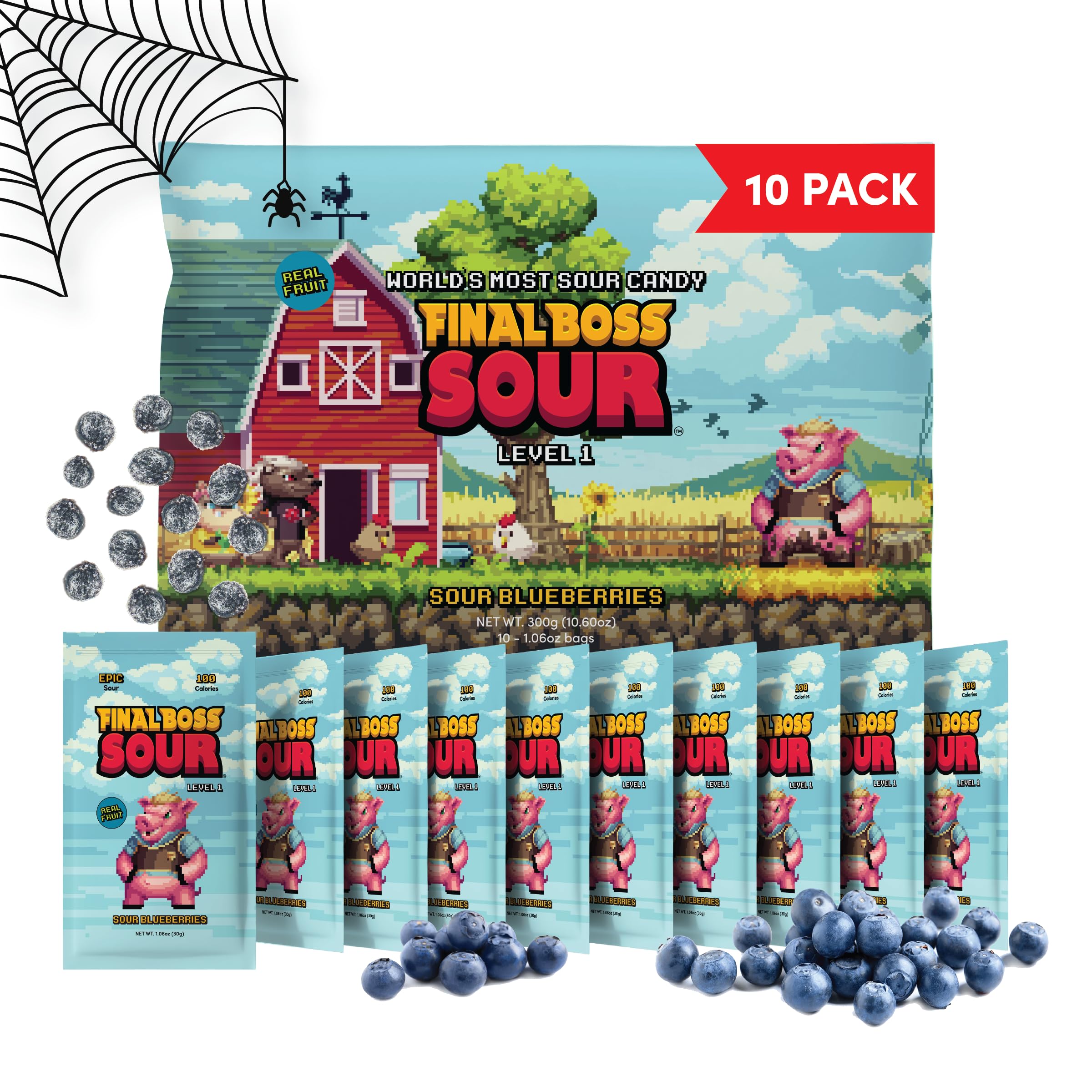Final Boss Halloween Sour Candy, Sour Blueberries, 10 Pack, Level 1, Fruit Chews with Real Dried Fruit, No Artificial Colors or Flavors, Low Calorie Snack for Kids, Teens, Adults, Lunch Boxes