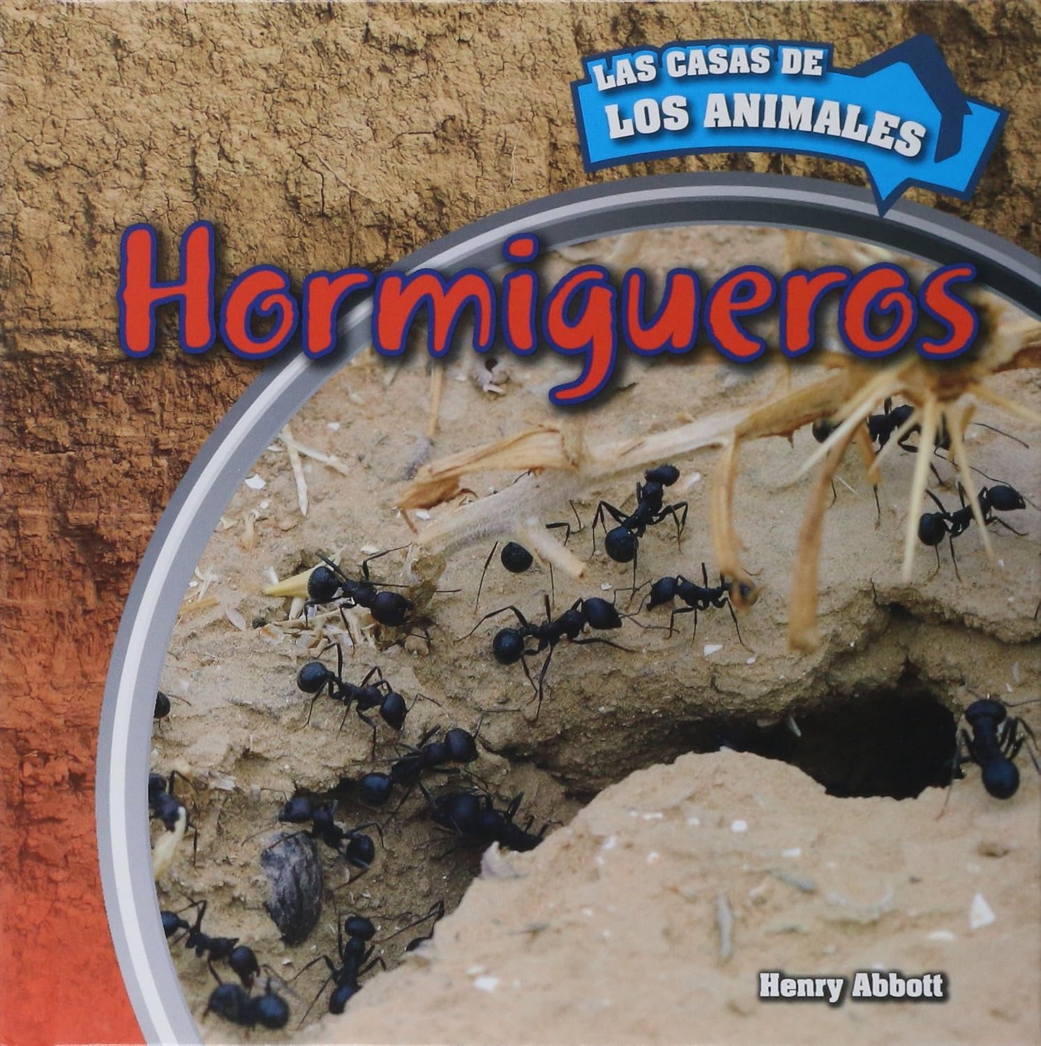 Hormigueros Inside Anthills Casas de los Animales Inside Animal Homes