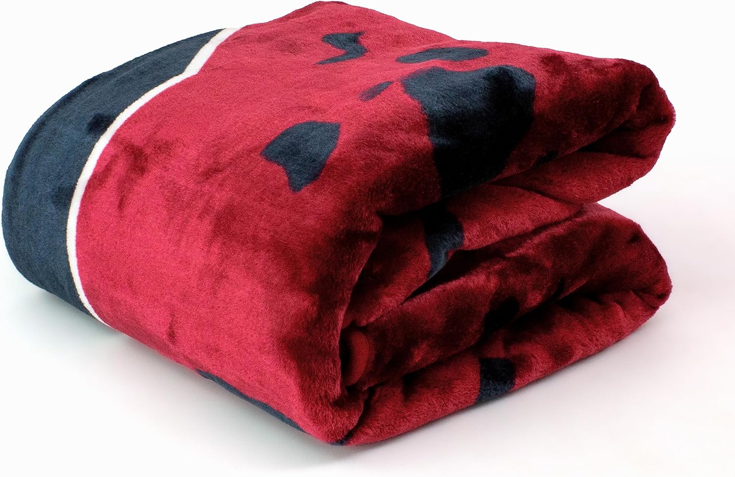 College Covers Everything Comfy South Carolina Gamecocks Soft and Warm Huge Raschel Throw Blanket, 86" x 63" - Image 3