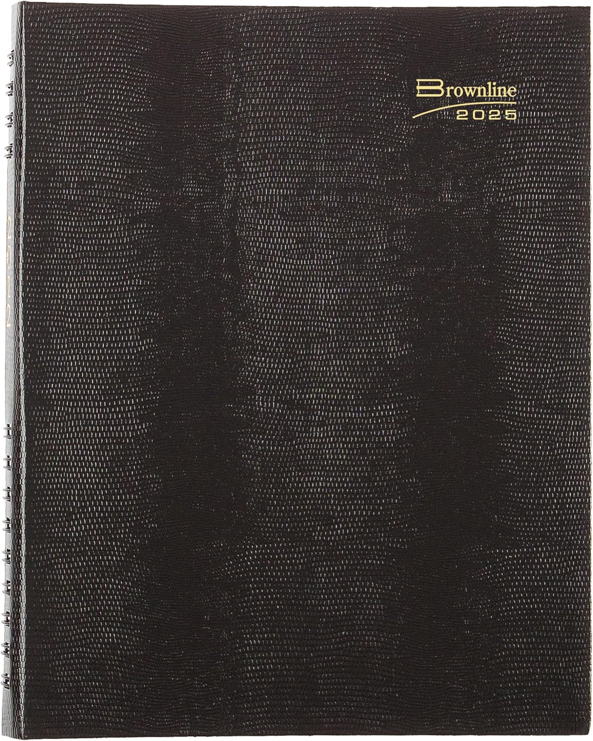 Brownline® 2025 CoilPro™ Daily Professional Planner, Four-Person Appointment Book, 12 Months, January to December, Twin-Wire Binding, 11" x 8.5", Black (CB960C.BLK-25)