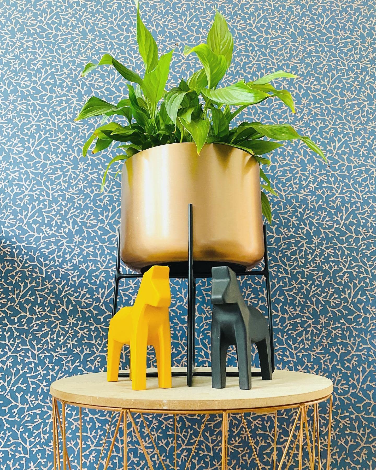 See full amazon price history chart for Amazon Brand - Umi Gold Planter Pot - Rustic Elegance for Your Indoor and Outdoor Plants (25x25x56) (Large) Amazon Brand - Umi Gold Planter Pot - Rustic Elegance for Your Indoor and Outdoor Plants (25x25x56) (Large) (B0CH81XGKB) Amazon Price History, Amazon Price Tracker