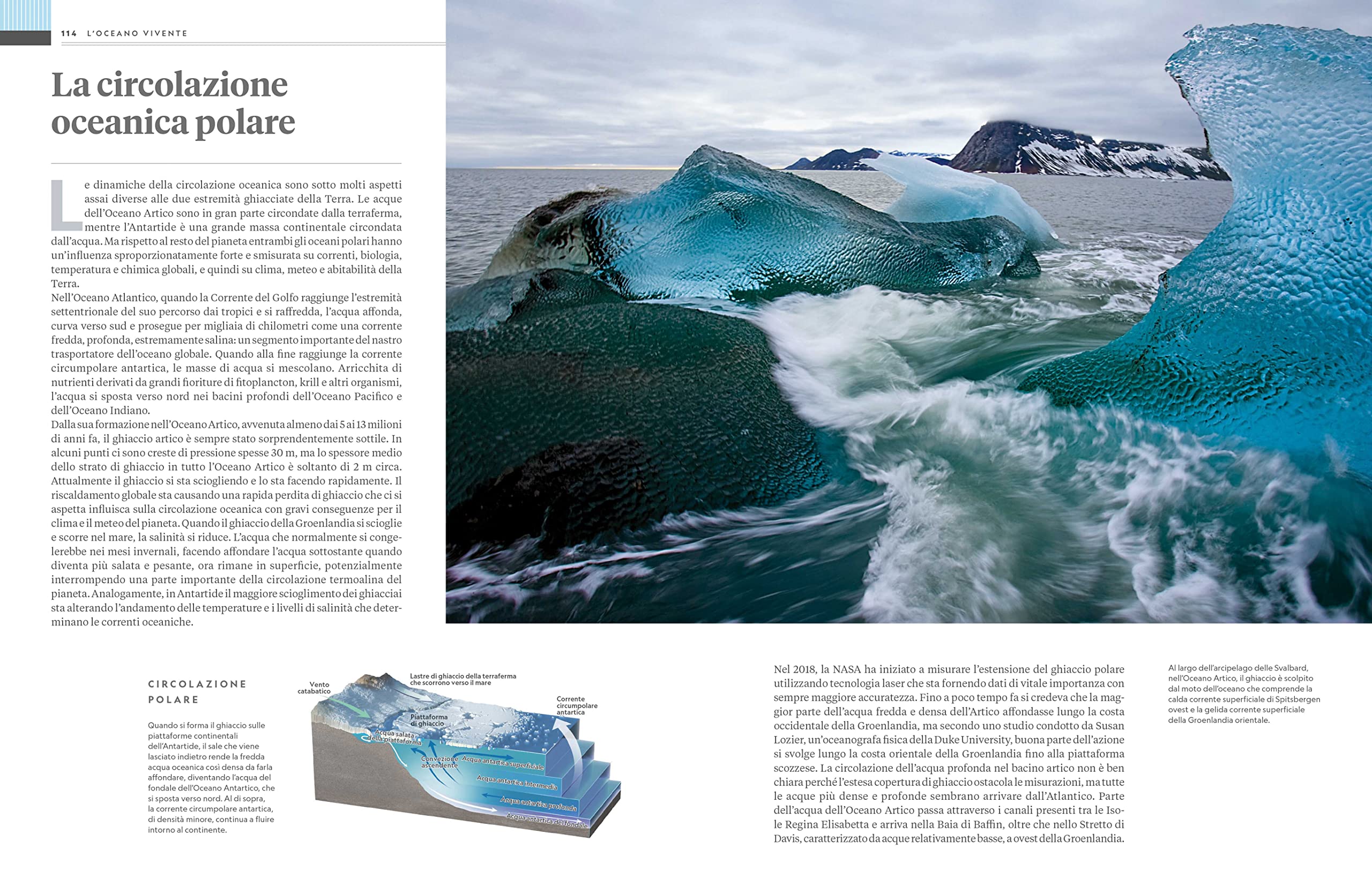 NATURA E POPOLI - Oceani: L'ultima odissea | National Geographic | Edizione Illustrata | Impegno Globale per la Natura