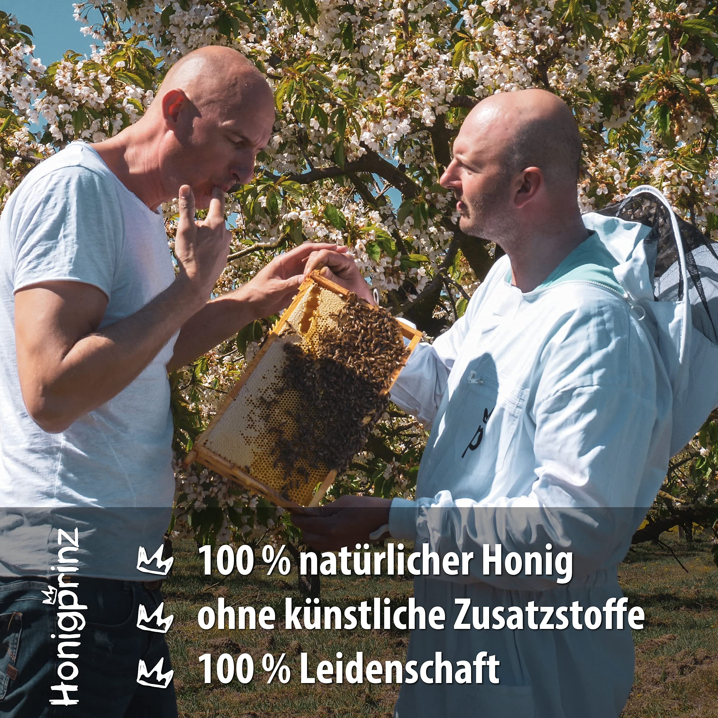 Honigprinz 28g Honiggläser 12er Set in Tasty Pott Schachtel- Familien-Imkerei - 100% Deutscher Honig - Probierset/Geschenk Set - ideal zum Verschenken