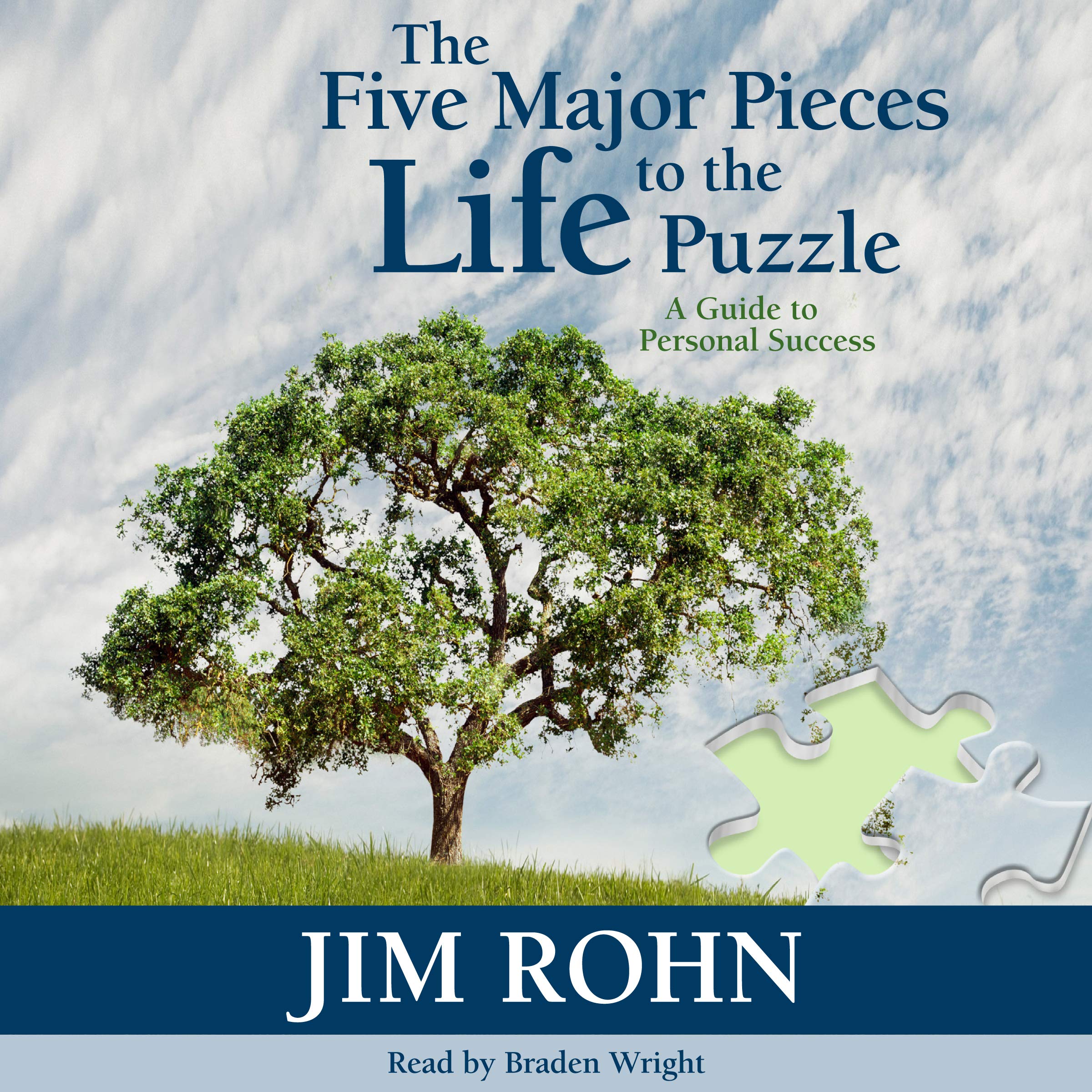 Cover art for The Five Major Pieces to the Life Puzzle