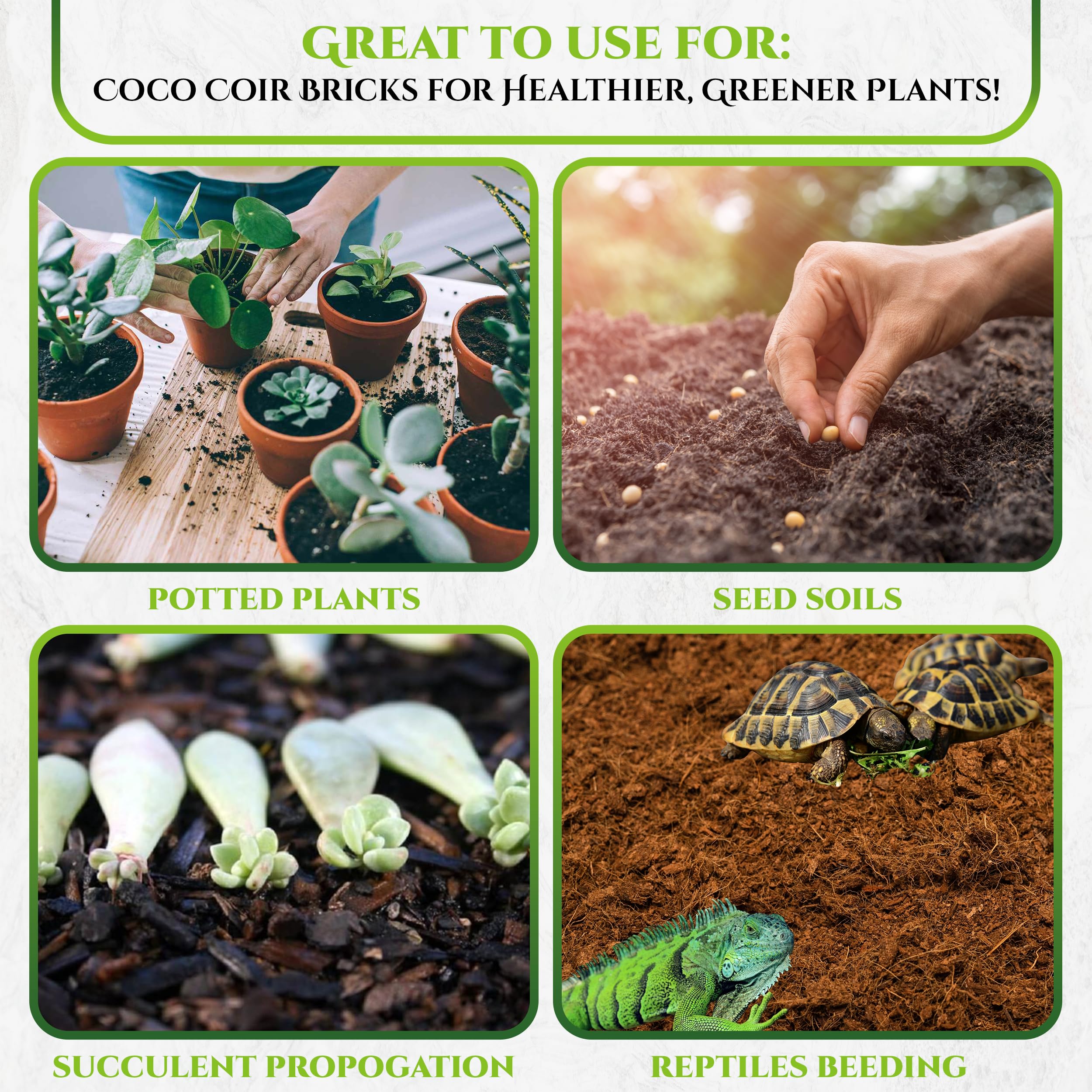 MYPURECORE 2 x 650g Organic Coco Coir Bricks, Natural Coconut Fiber for Indoor & Outdoor Plants, Tortoise Bedding - Image 3