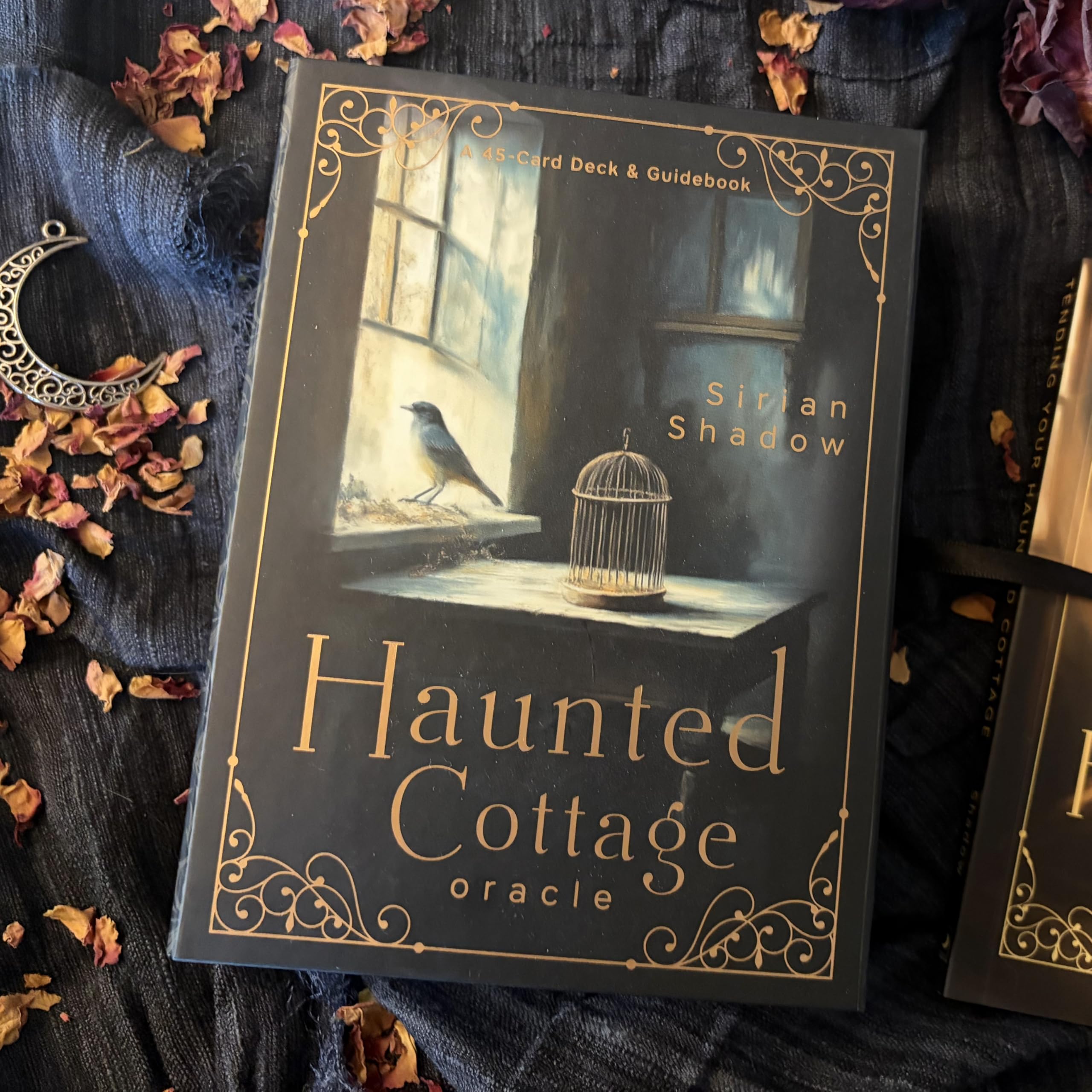 Haunted Cottage Oracle: A 45-Card Deck and Guidebook