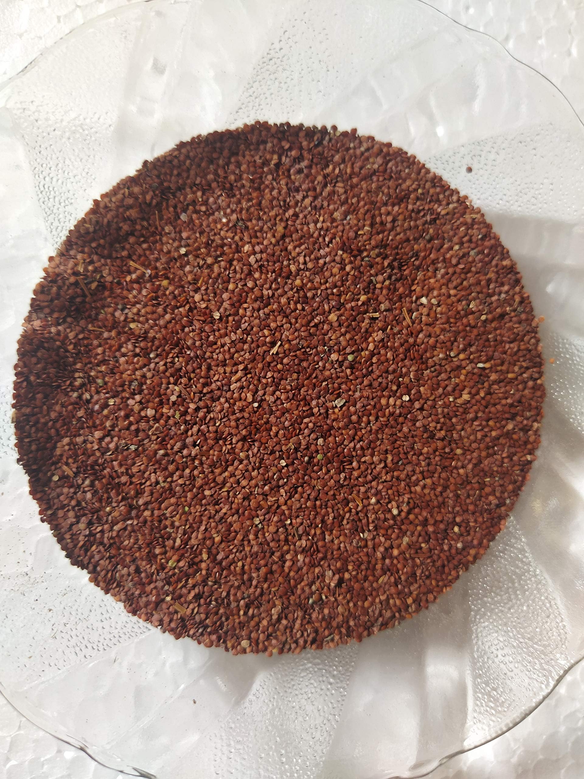 Ambe Ayurveda - Lajwanti Seeds - Mimosa Pudica - ?????? beej - 200gm