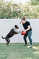 Vista 2 de Juguete Jolly Egg para perros de Jolly Pets, 12 Pulgadas/Grande, Amarillo