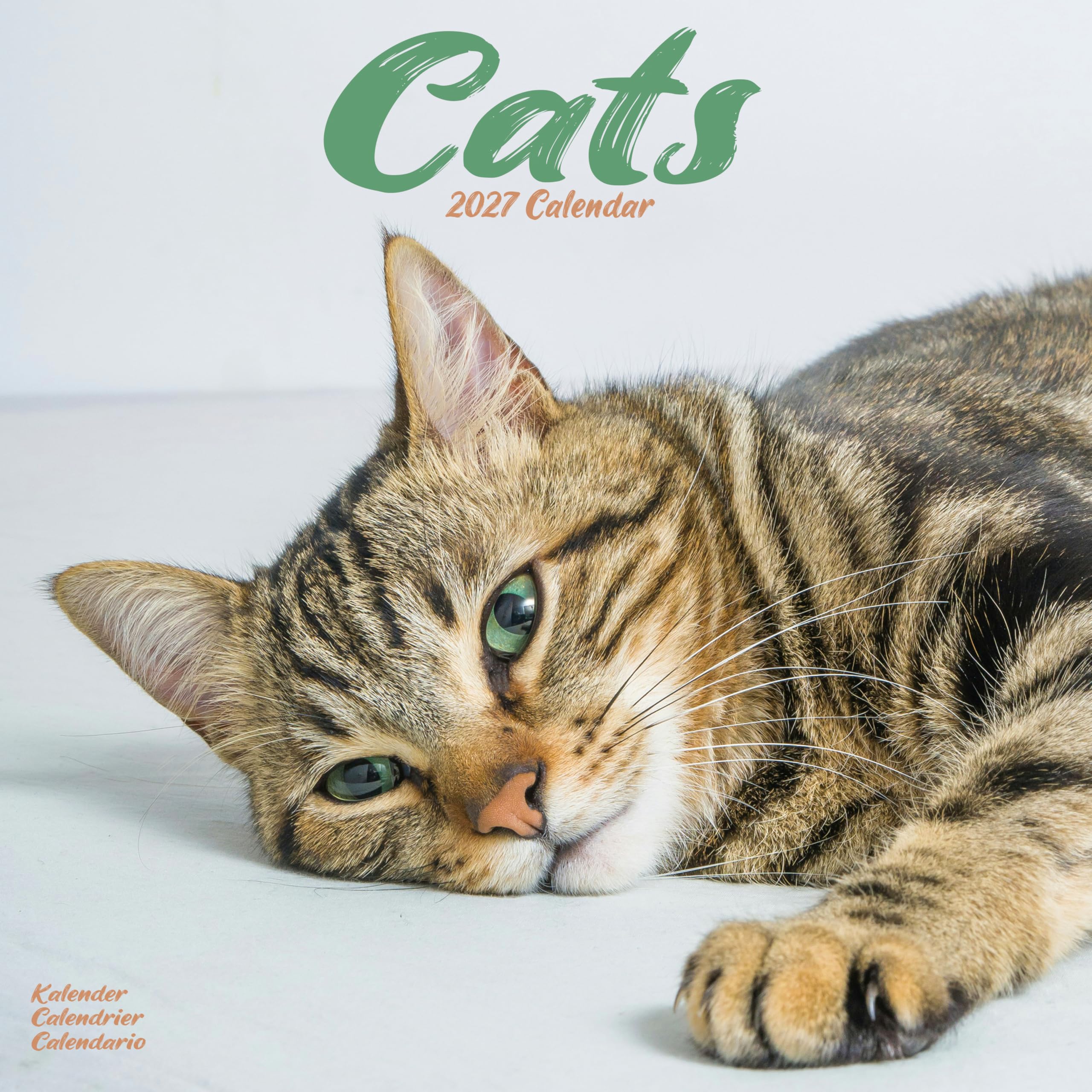 Cats Calendar 2027, Wall Calendars, Month To View, Cats, Gift