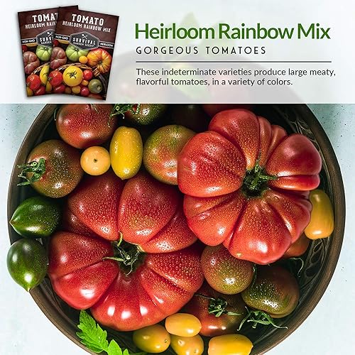 Miniatura 4 de Survival Garden Seeds - Semillas de tomate Heirloom Rainbow Mix para plantar - Paquete con instrucciones para plantar y cultivar en tu huerto casero