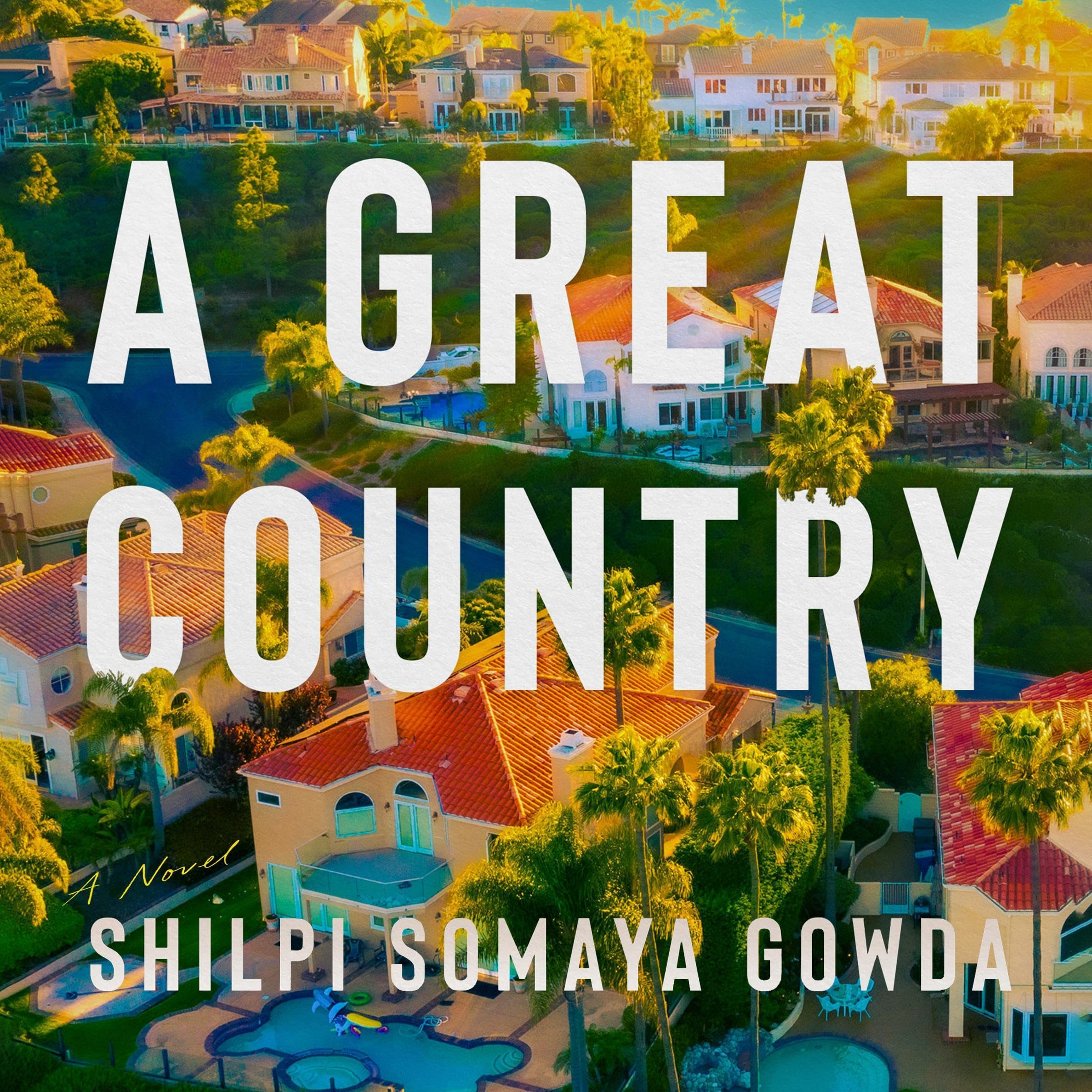 A Great Country: A Novel
