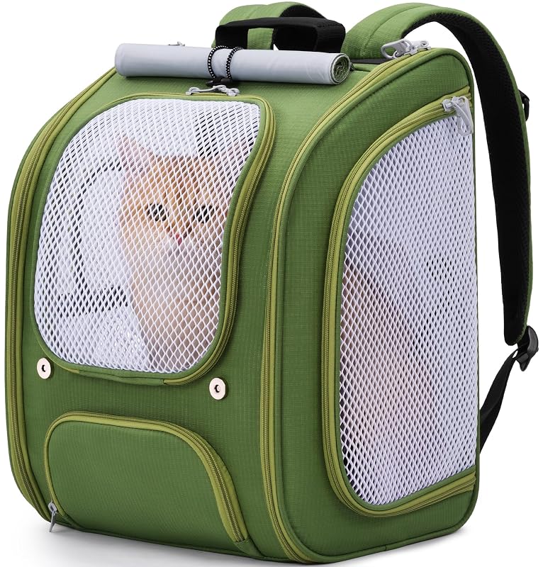 Mochila transportadora para gatos e cães pequenos Pecute, dobrável e respirável, Verde