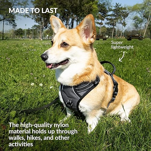 Miniatura 5 de CollarDirect Arnés reflectante sin tirones para perro, con asa y clip frontal, chaleco acolchado suave ajustable para perros pequeños a grandes,