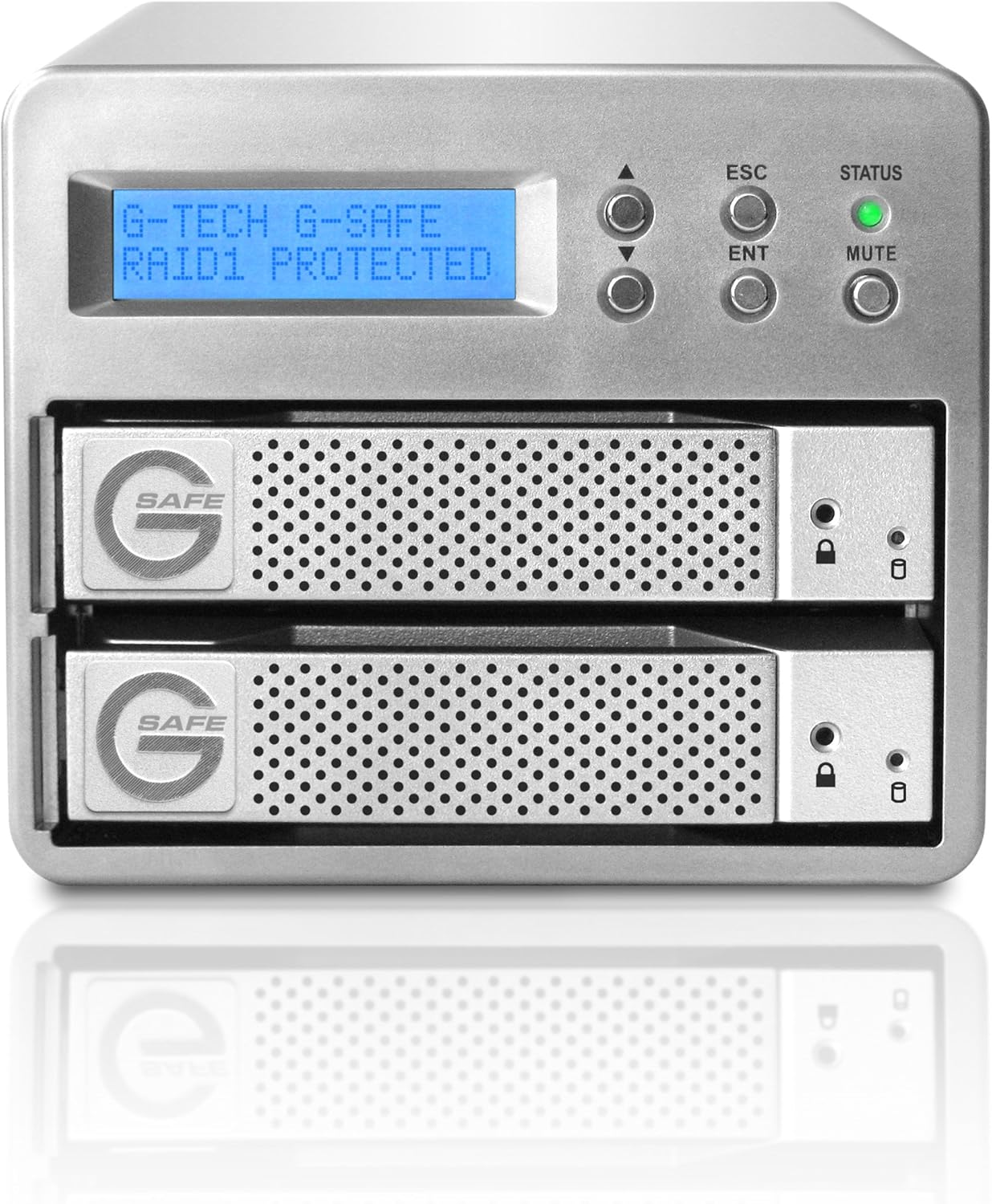 G-Technology G-SAFE 500 GB Hot-Swappable Portable External Hard Drive with RAID 1 for Additional Protection 0G00241