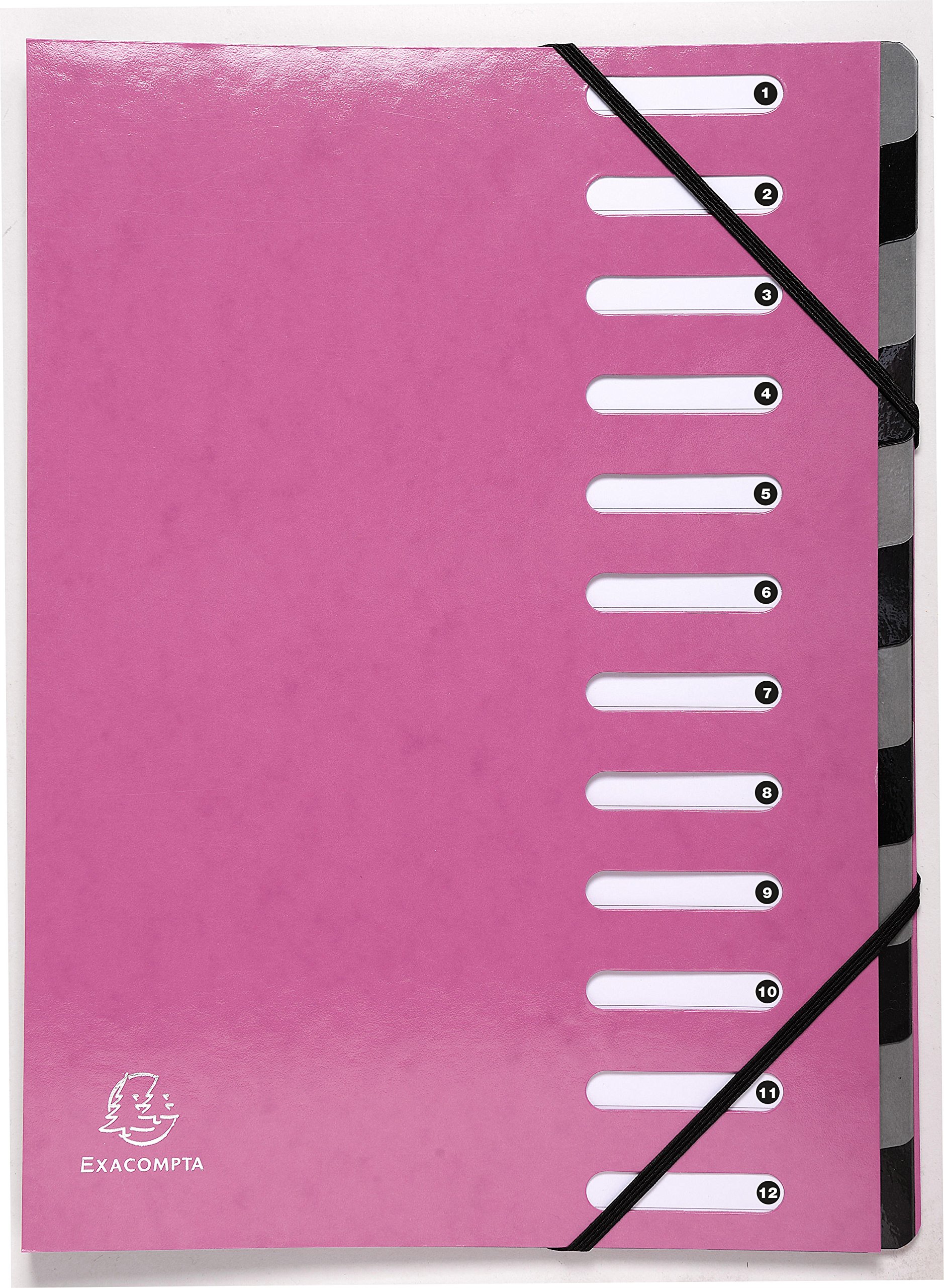 Exacompta - Ref 53928E - Iderama Collection - Harmonika Multipart File - 245 x 320mm in Size, Suitable for A4 Documents, 12 Multicoloured Tabbed Sections - Pink