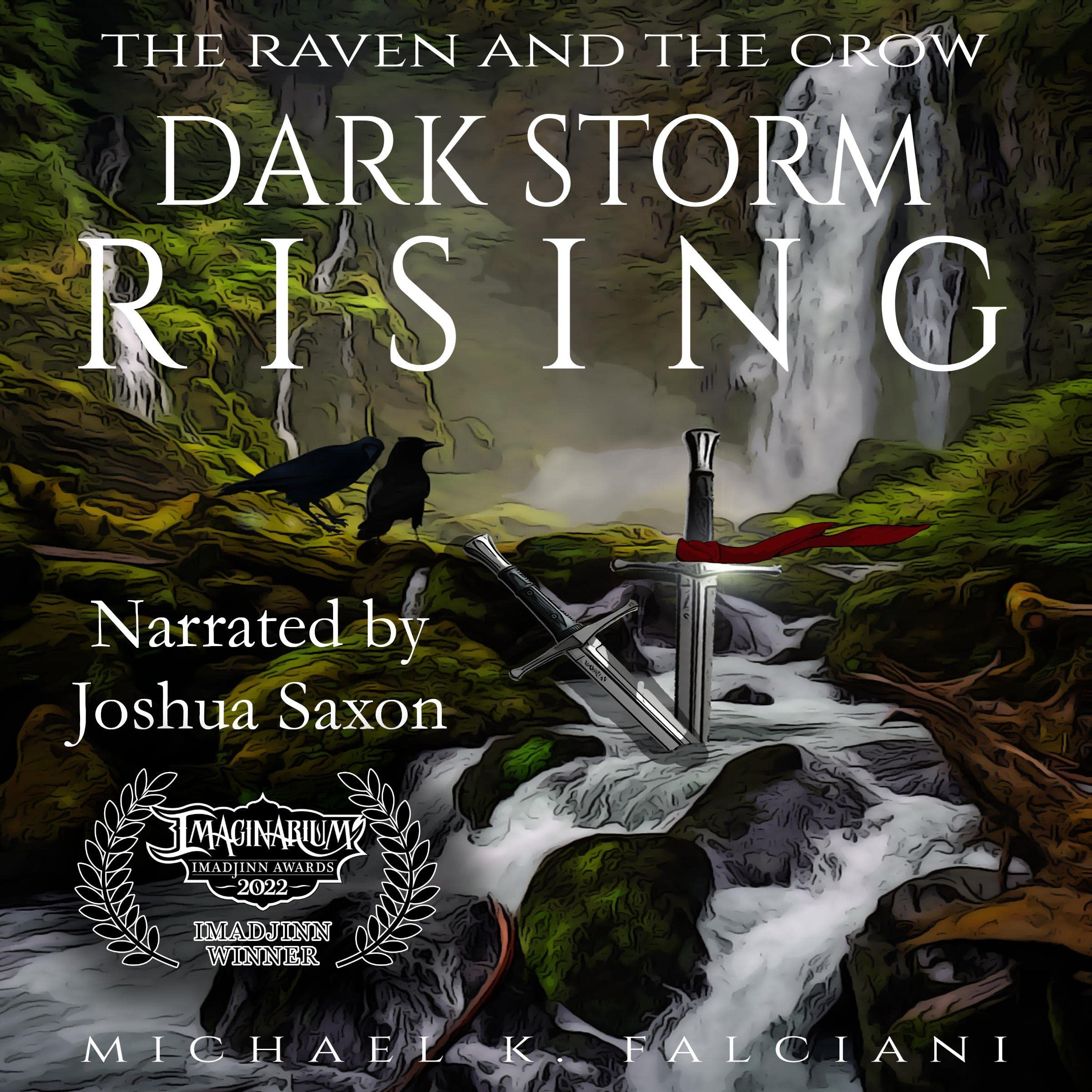 Cover art for The Raven and the Crow: Dark Storm Rising