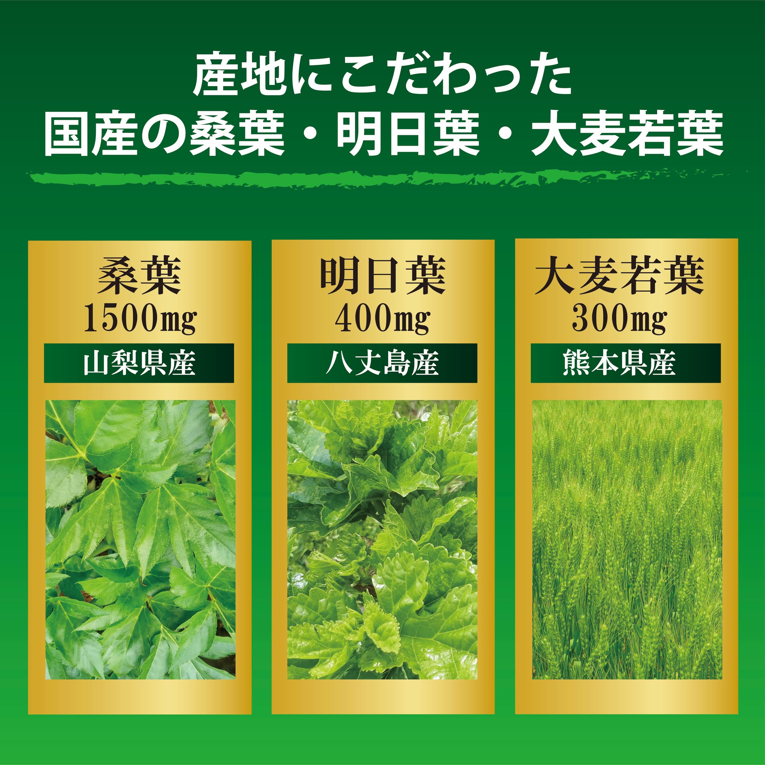 Amazon | 贅沢に味わう 桑の葉青汁 3g×30包 【管理栄養士推奨】桑葉