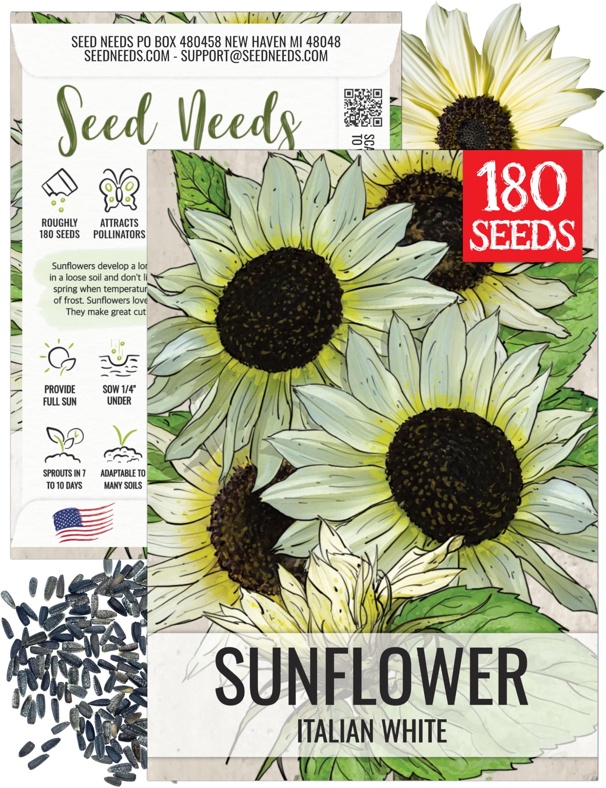 Amazon.com : Seed Needs Italian White Sunflower Seeds to Plant