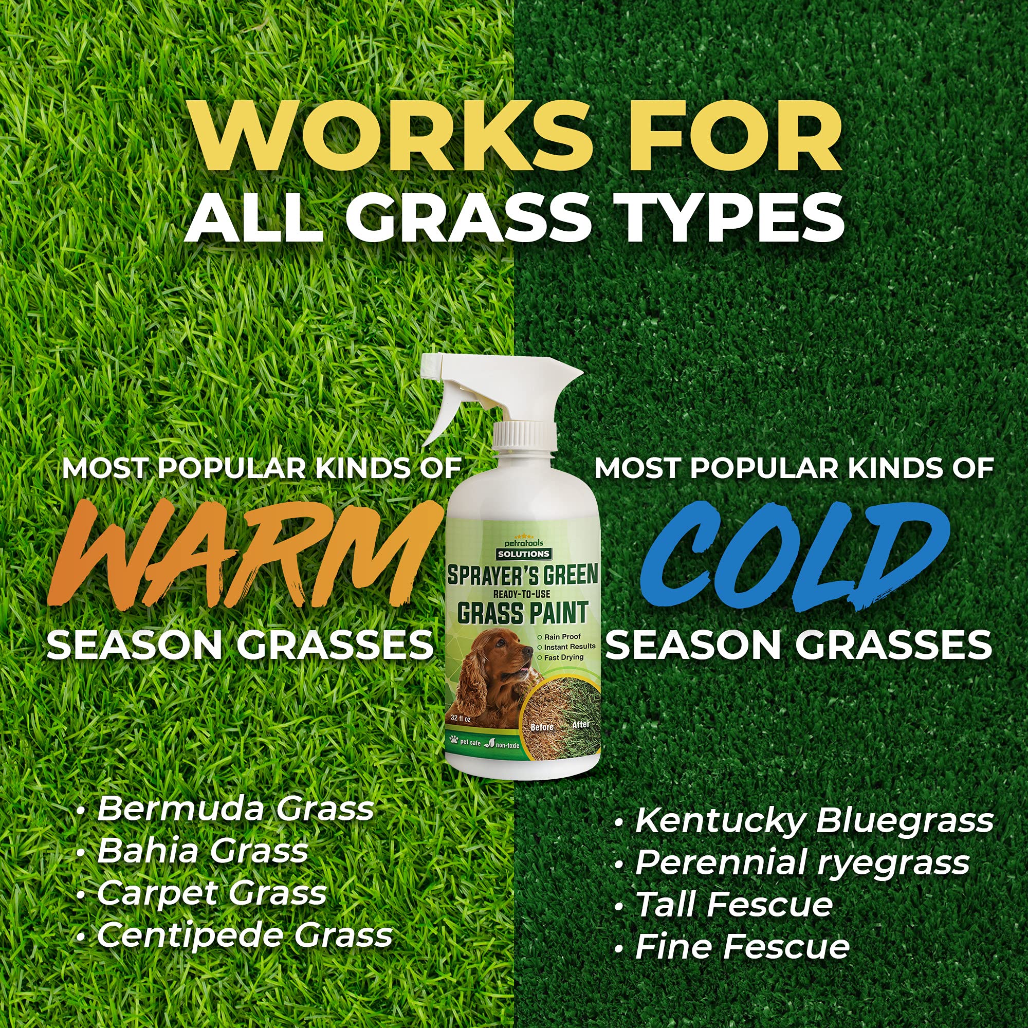 PetraTools Green Grass Paint for Lawn, ReadytoUse Green Grass Lawn Spray & Dog Spot Repair