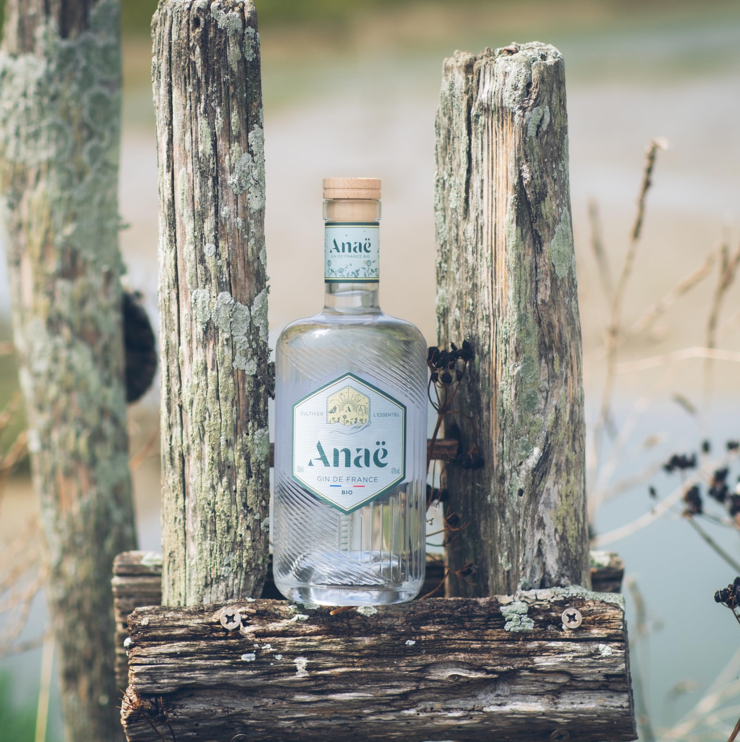Anaë Gin Vol. 43%, 700ml