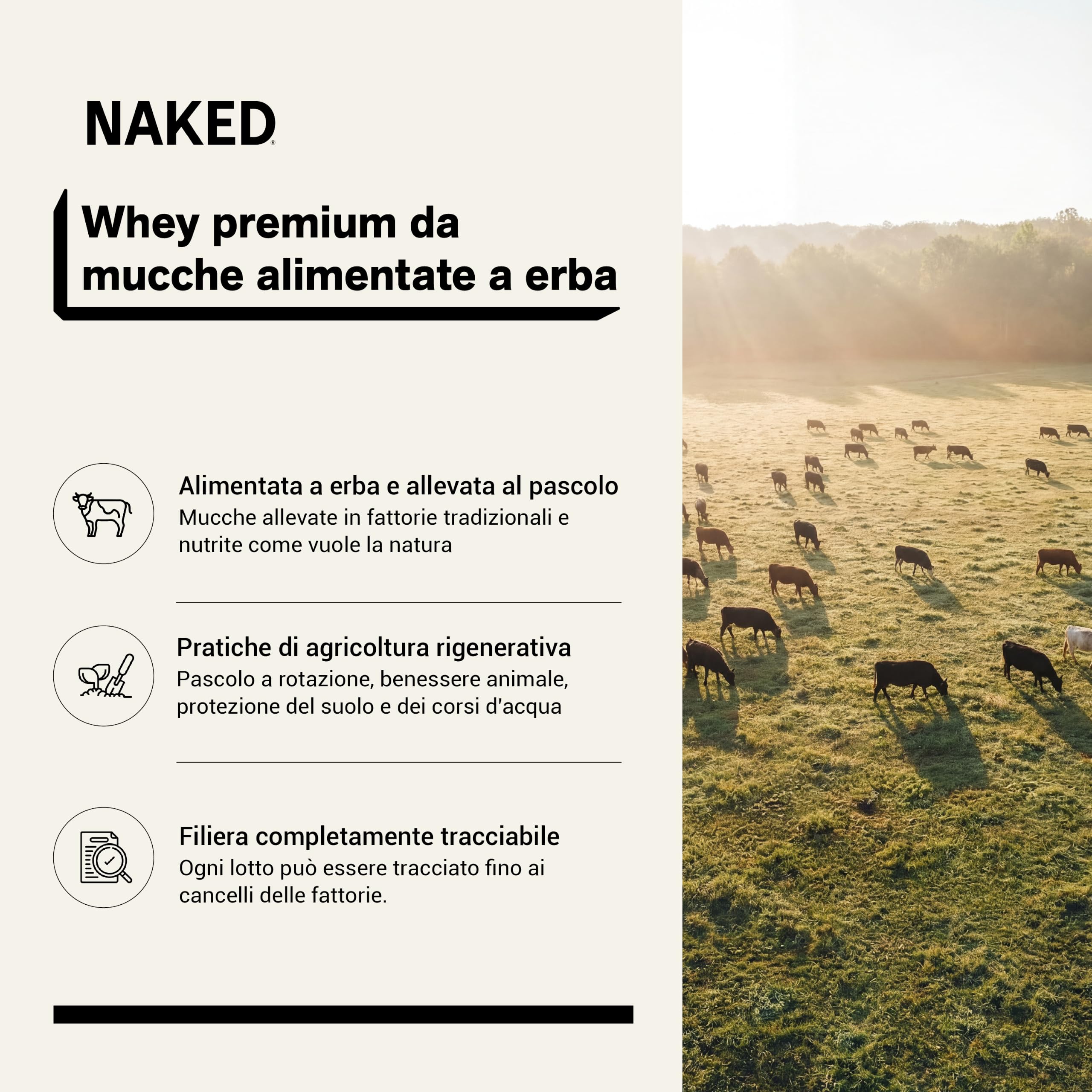 Naked Cioccolato Whey Protein, Proteine in Polvere, Solo 3 Ingredienti, Grass Fed, Senza Glutine, Senza Soia, Senza OGM, 25g di Proteine e 6g di BCAAs per Misurino, 60 Porzioni, 2280g
