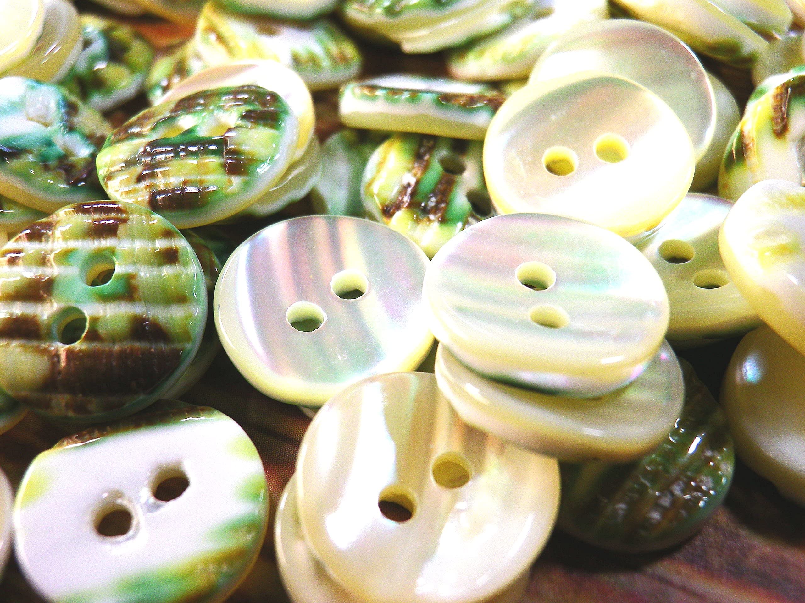 Amazon.co.jp: Sea Shell Buttons, Shells with Sparkling Linear