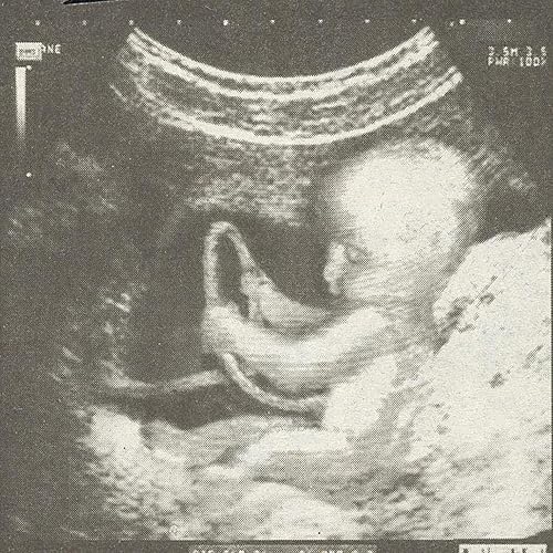 Record Release By White House On Amazon Music Amazon Com