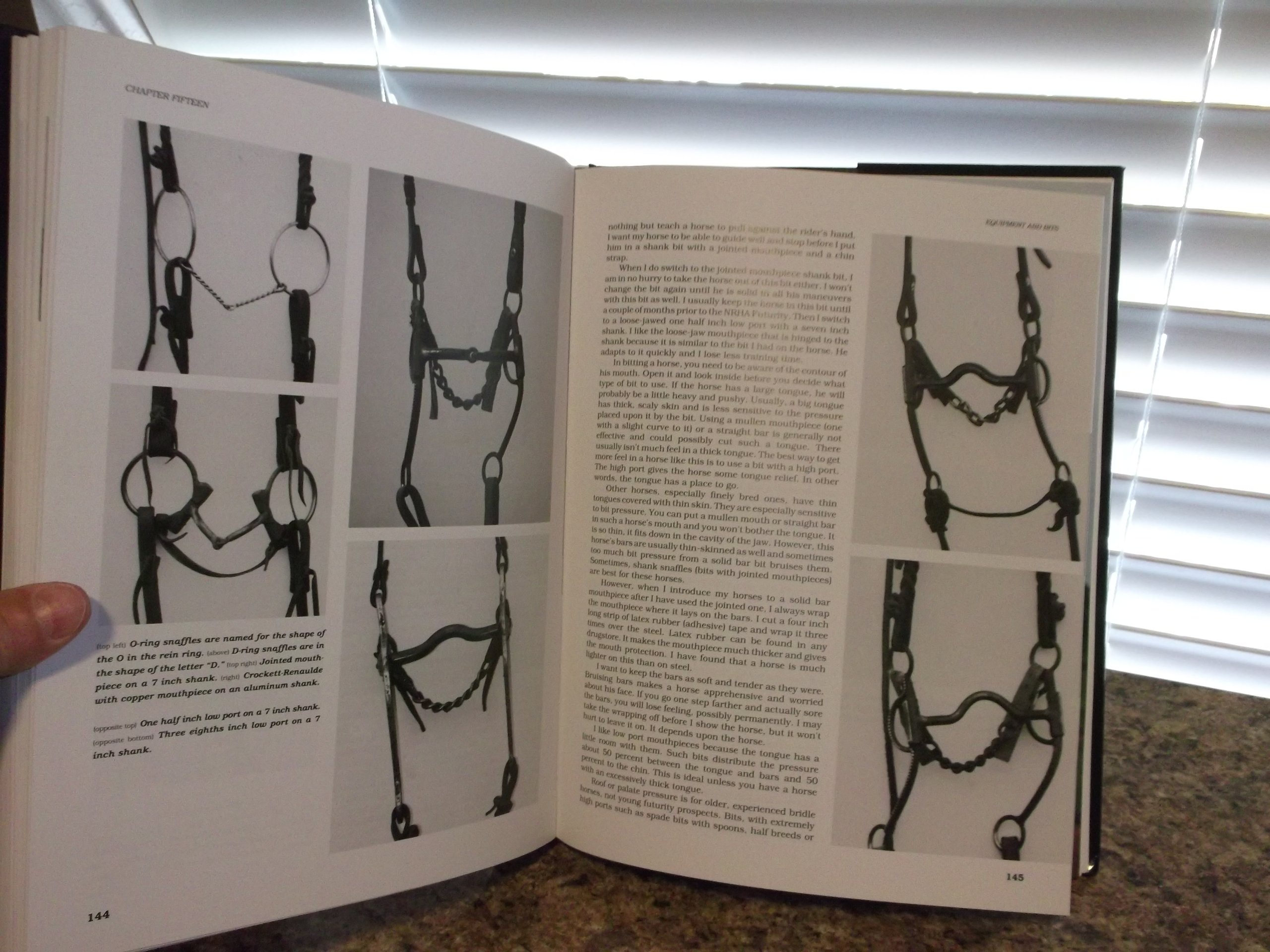 Reining: The Art of Performance in Horses