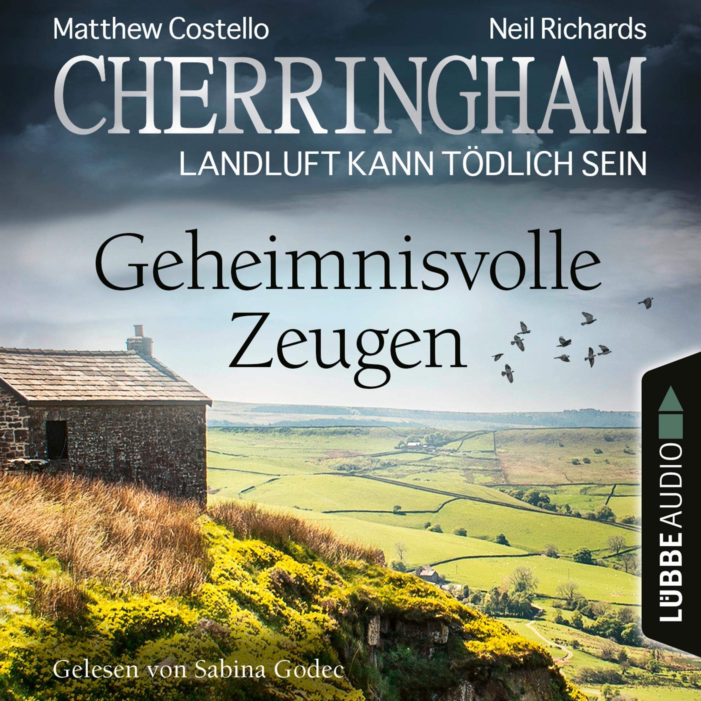 Cover art for Geheimnisvolle Zeugen