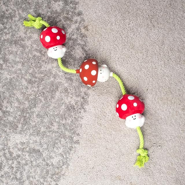Foto 5 de 6 de Fuzzl Magic Shroom Juguete Interactivo para Perros con Cuerda y Chirriador