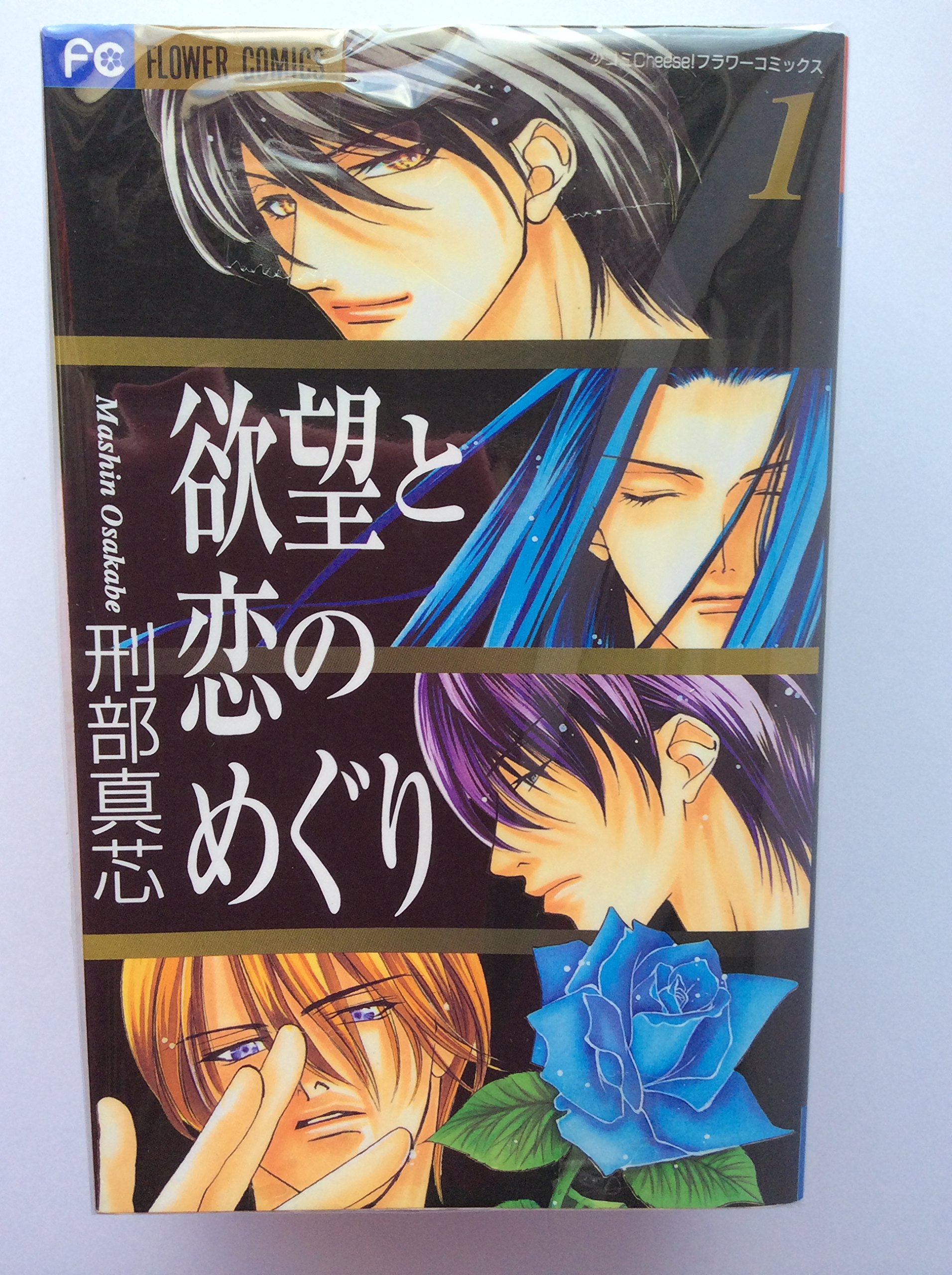 欲望と恋のめぐり 全5巻完結(フラワーコミックス) [マーケットプレイス