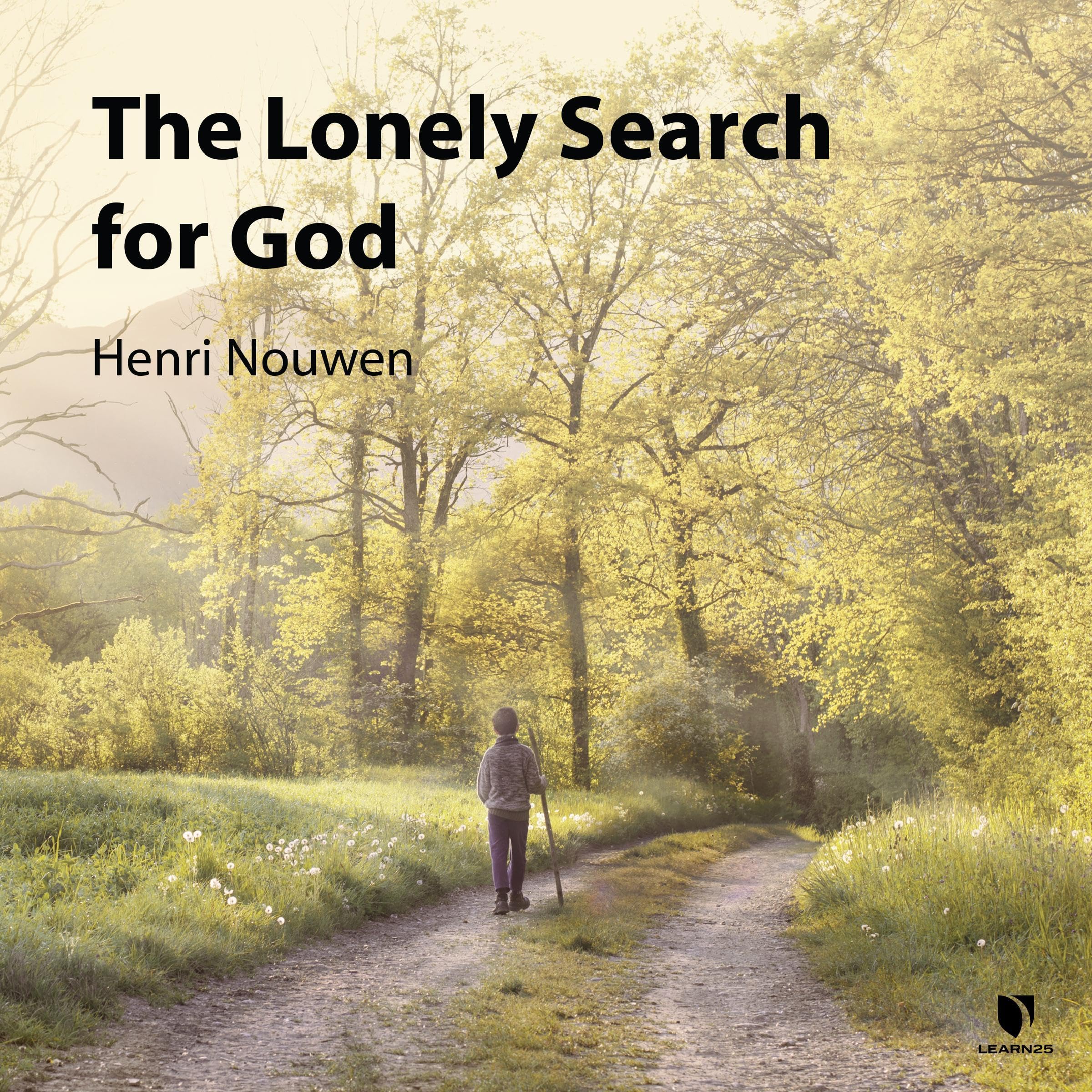 Cover art for The Lonely Search for God