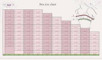 Full Cup Bra Soft Minimiser Without Underwire with Lace Large Sizes Wide Straps Laminated Cotton Soft Stable Support Large Breasts Comfortable for Everyday Use