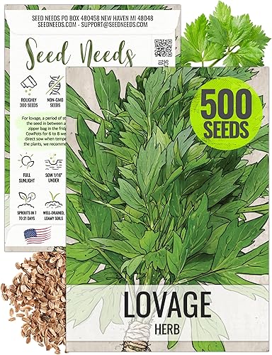 Seed Needs Semillas de Levístico para plantar - Hierbas no transgénicas, autóctonas y sin tratar para plantar un jardín medicinalculinario de