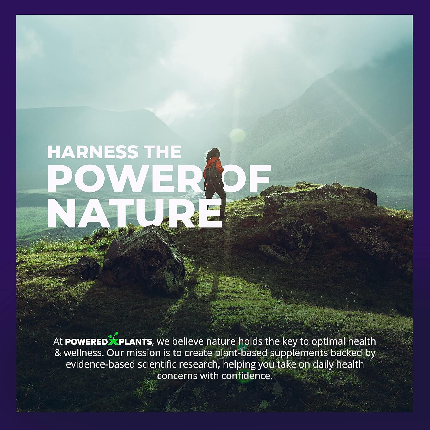 Saffron Extract Gummies with Passionflower & Vitamin D2 - Saffron Supplements for Mood Support, Digestion, & Energy 60 Servings - Image 9