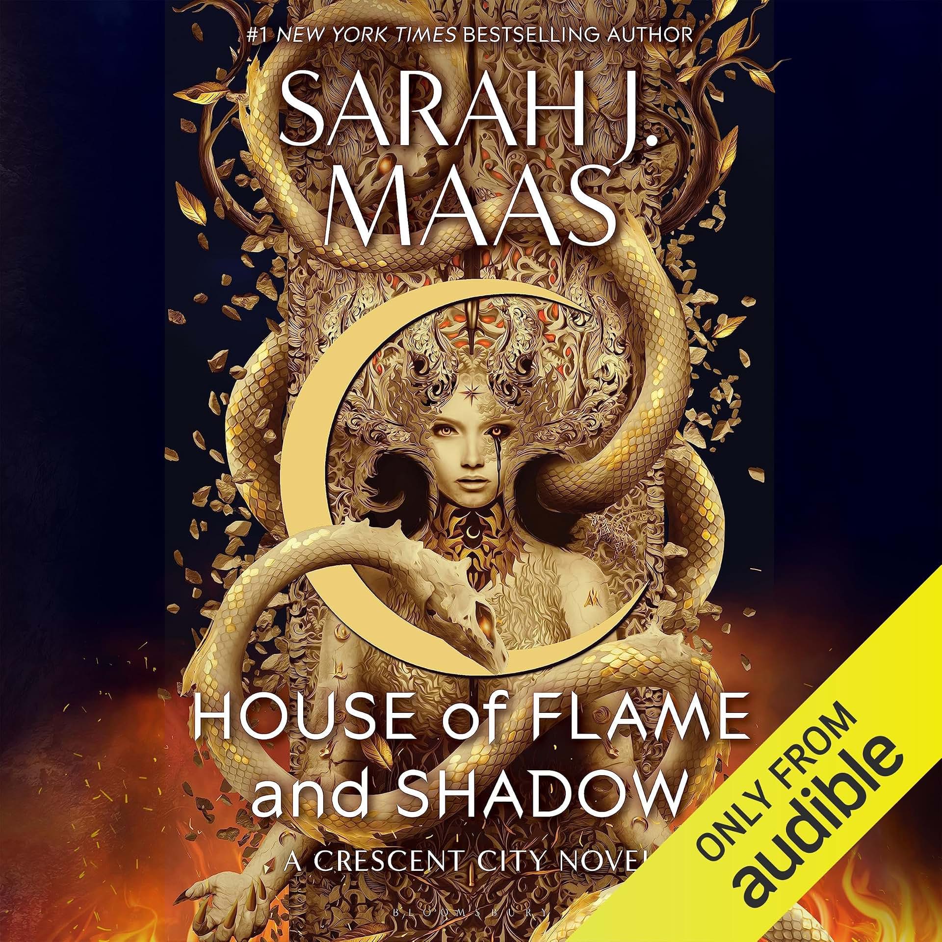 Carousel Item: House of Flame and Shadow