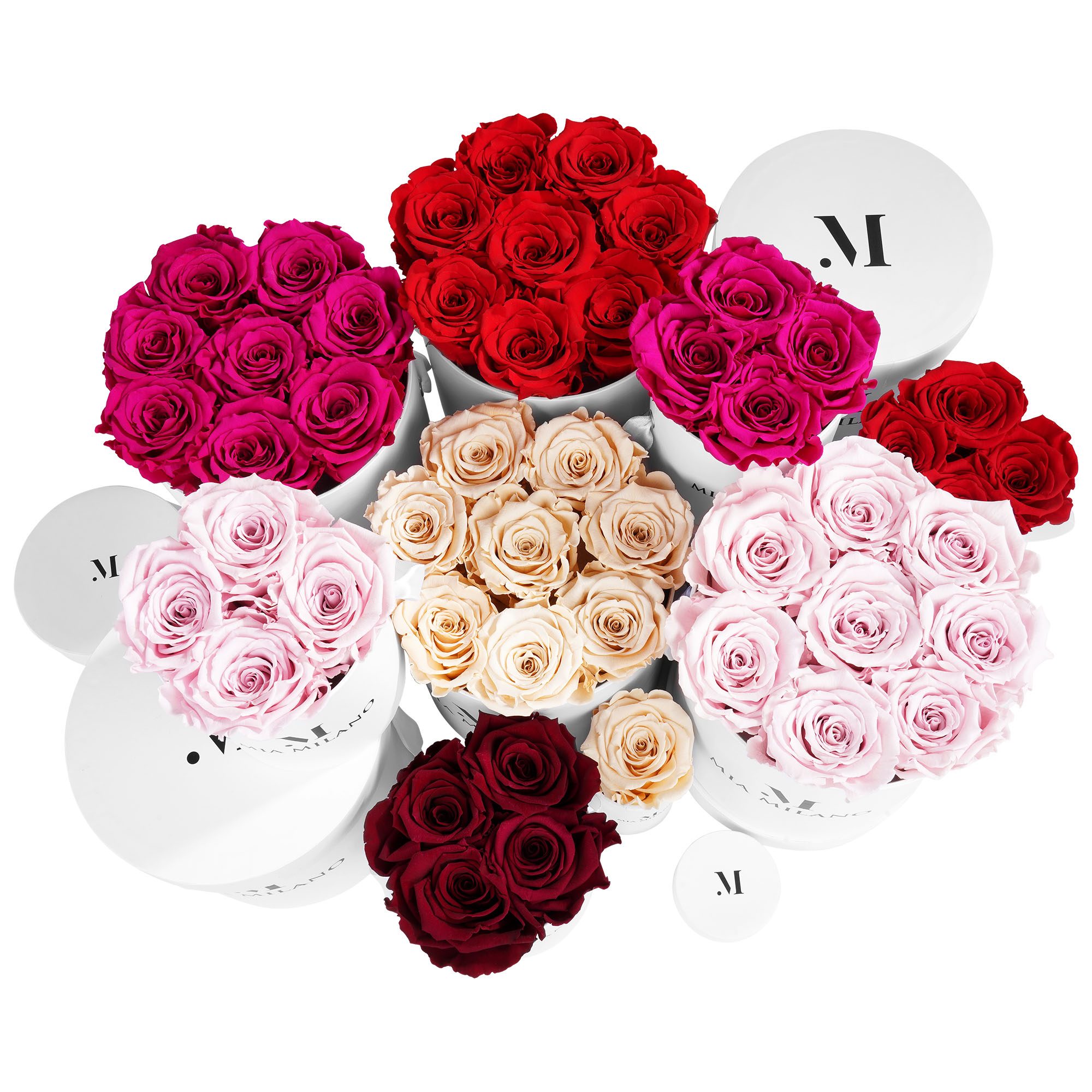 Amazon.com: Mia Milano Preserved Roses Box Handmade in The USA I 