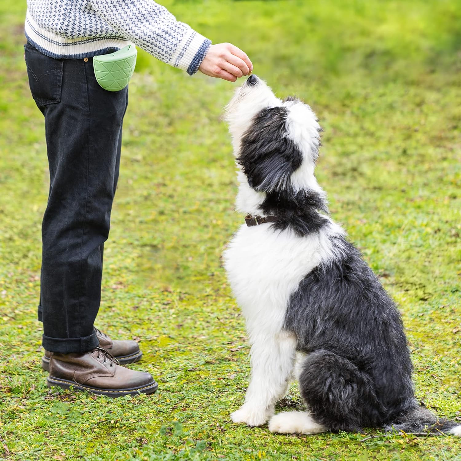 Navaris Silicone Dog Treat Pouches - Set of 2 - Doggy Treats Bag with Waist Clip - Dog Training and Walks Holder for Pet Snacks, Food - Grey & Green 3 91WoOofDASL. AC SL1500